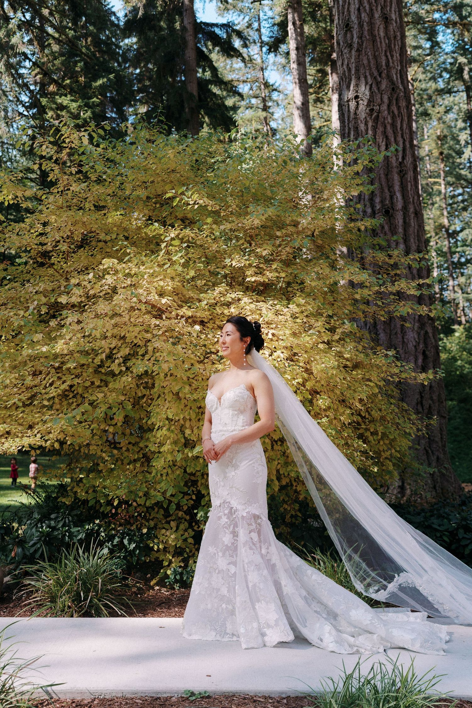 Bride in lace mermaid gown with cathedral veil stands in sunlit forest garden.