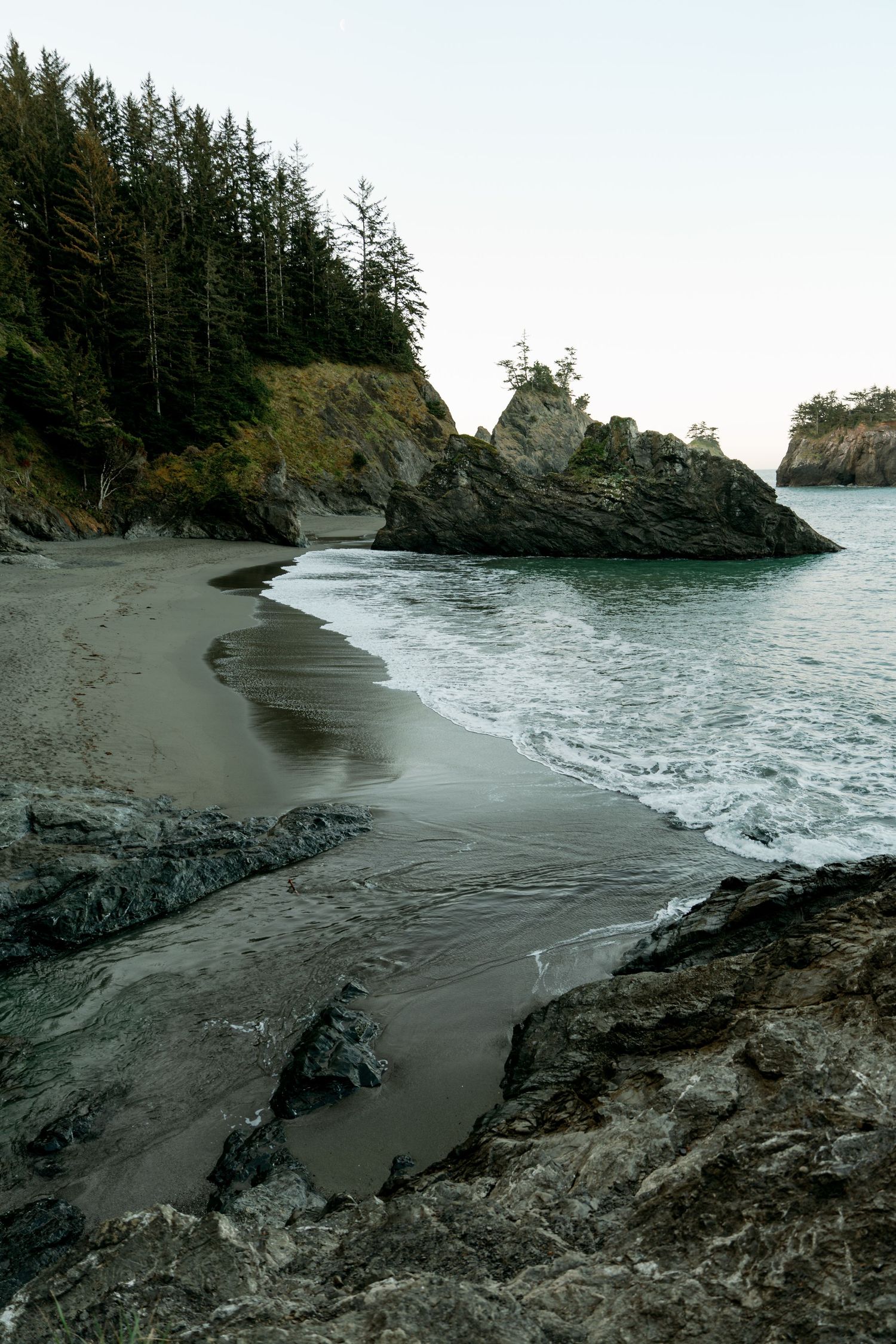 Serene sandy beach cove with evergreen trees, rocky sea stacks, and gentle ocean waves.