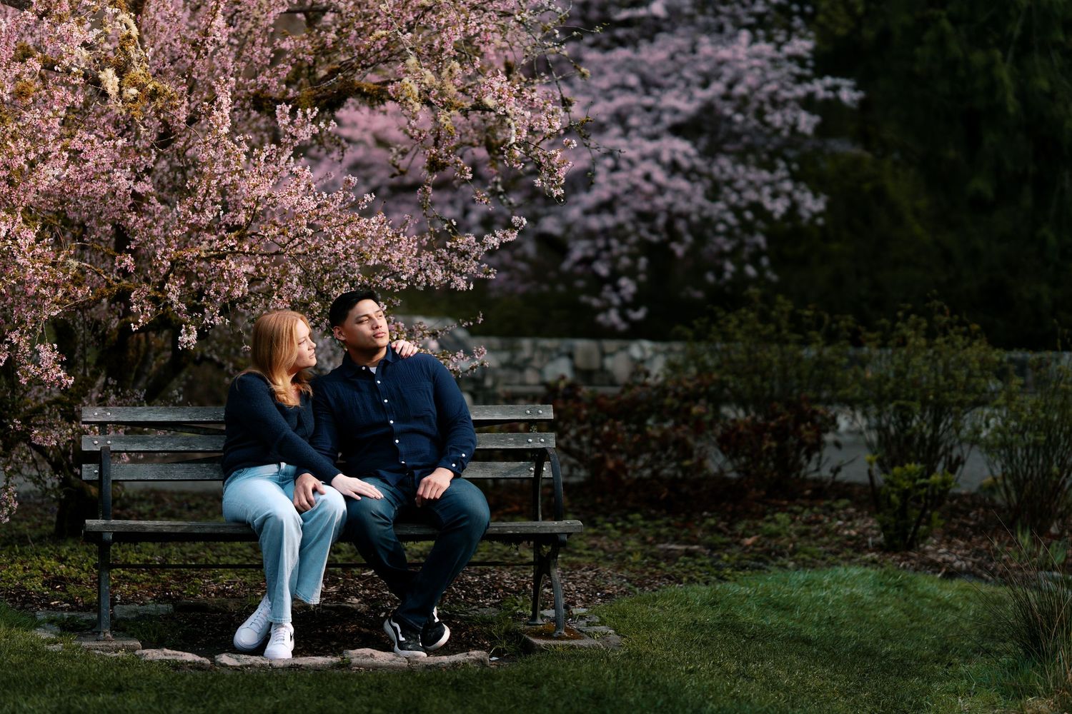 Couple sitting on a park bench beneath a blooming pink cherry blossom tree.
