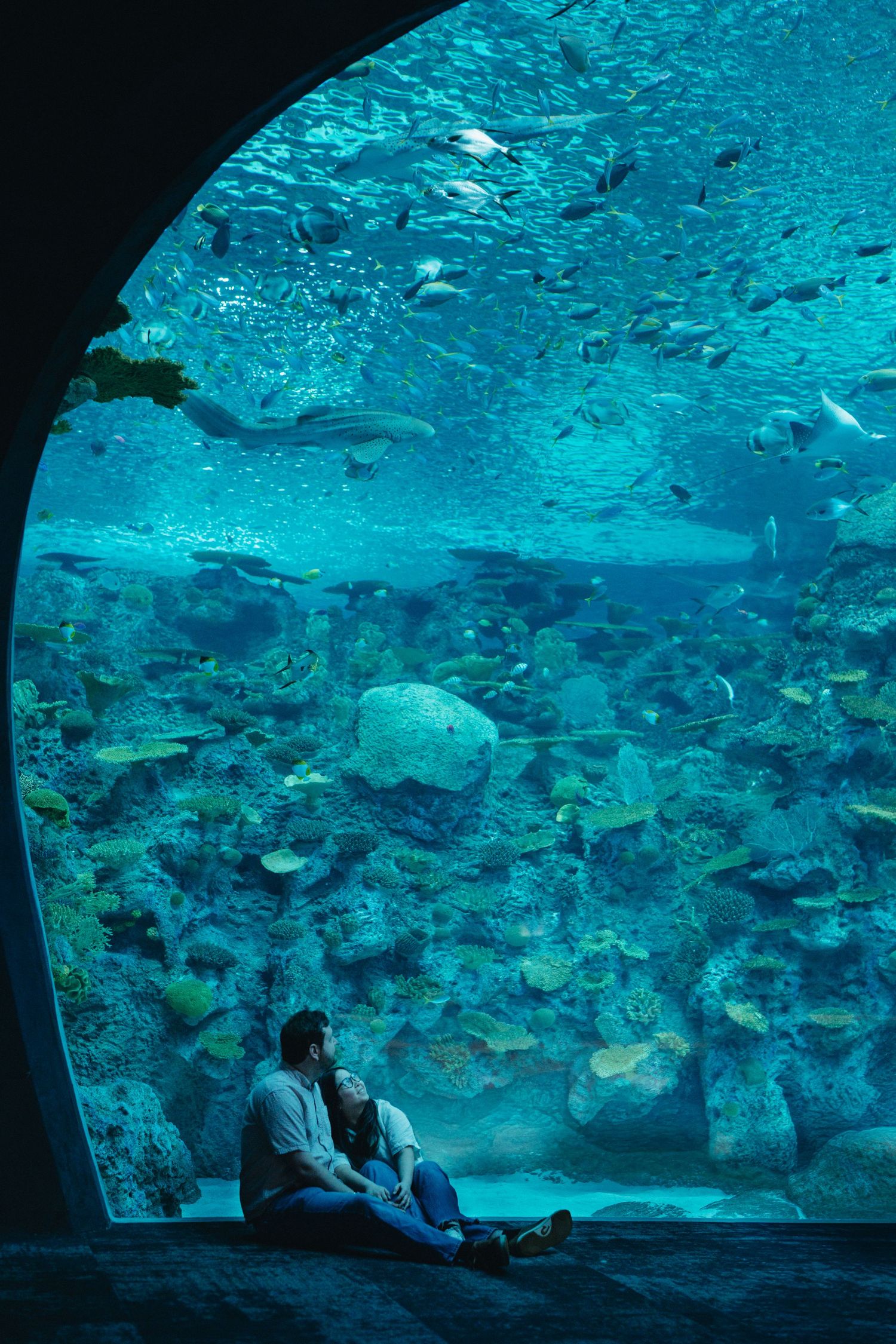 Couple sitting together beneath a massive aquarium tunnel surrounded by sharks and tropical fish.