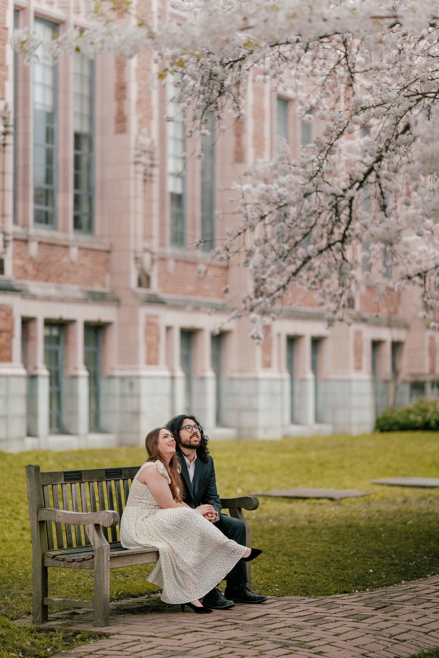 Romantic couple sitting closely on a park bench beneath blooming cherry blossom trees near a brick building.
