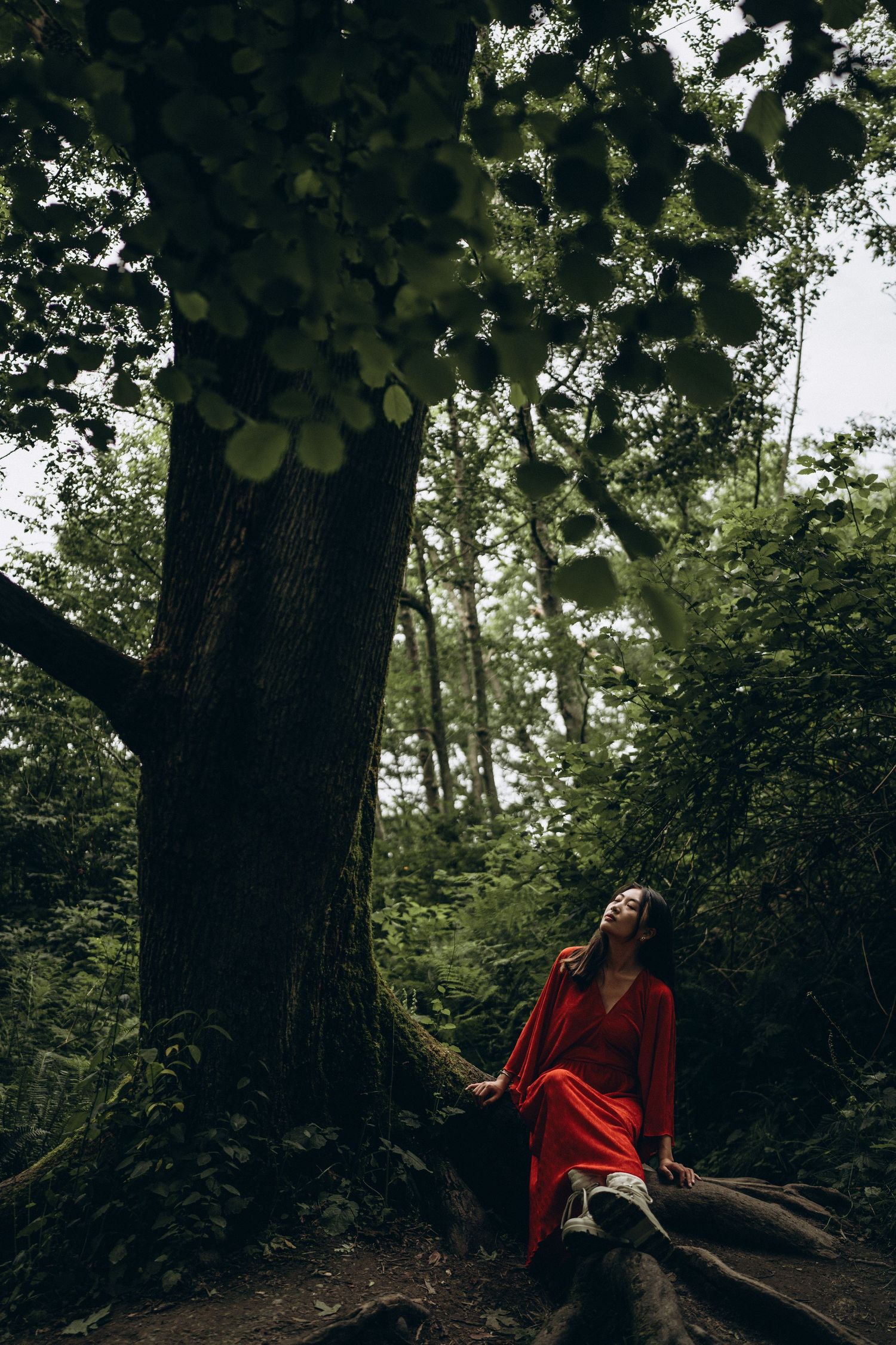 Woman in red dress sitting on tree roots in a dark lush forest.