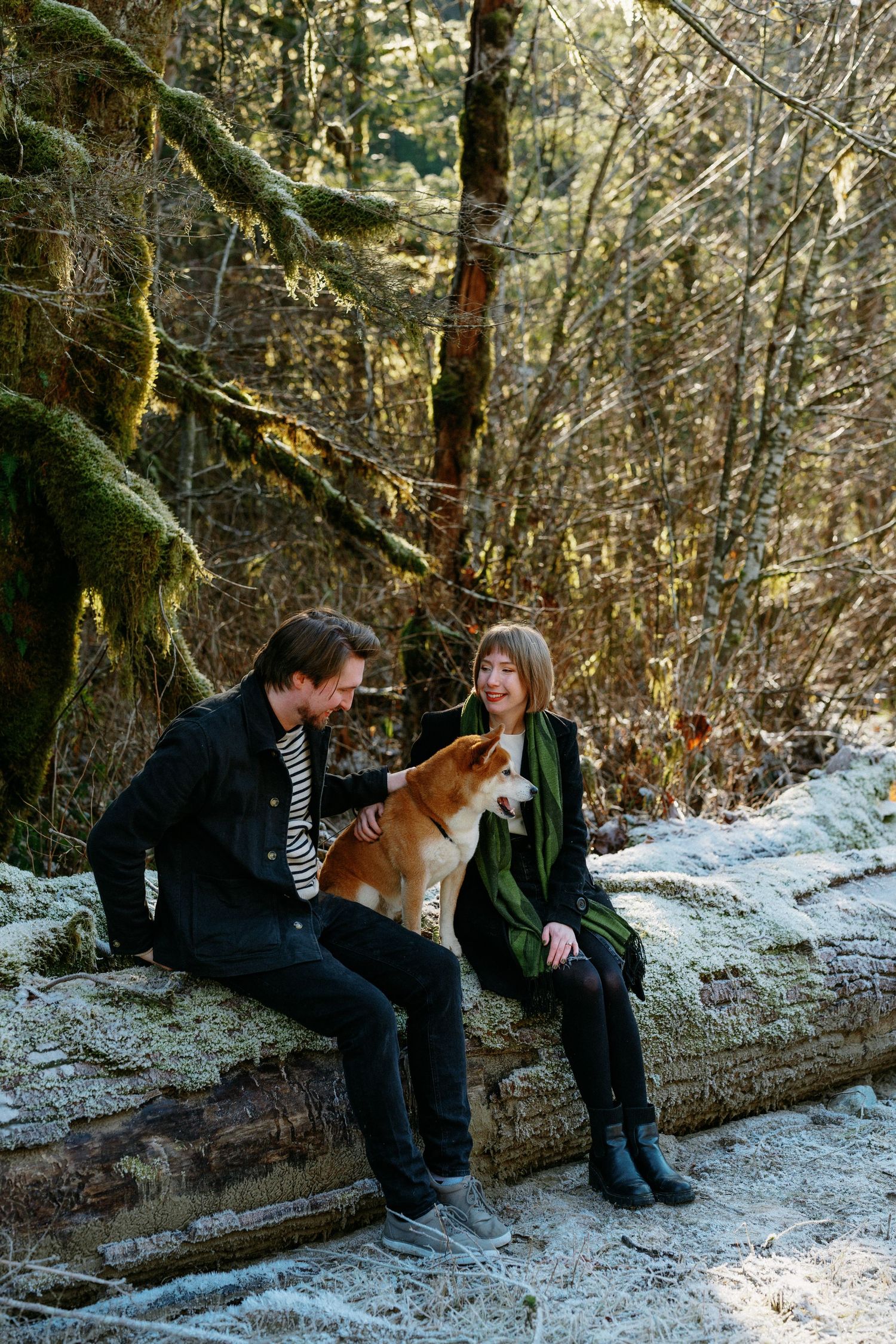 Couple sitting on mossy log in frost-covered forest petting their Shiba Inu dog.