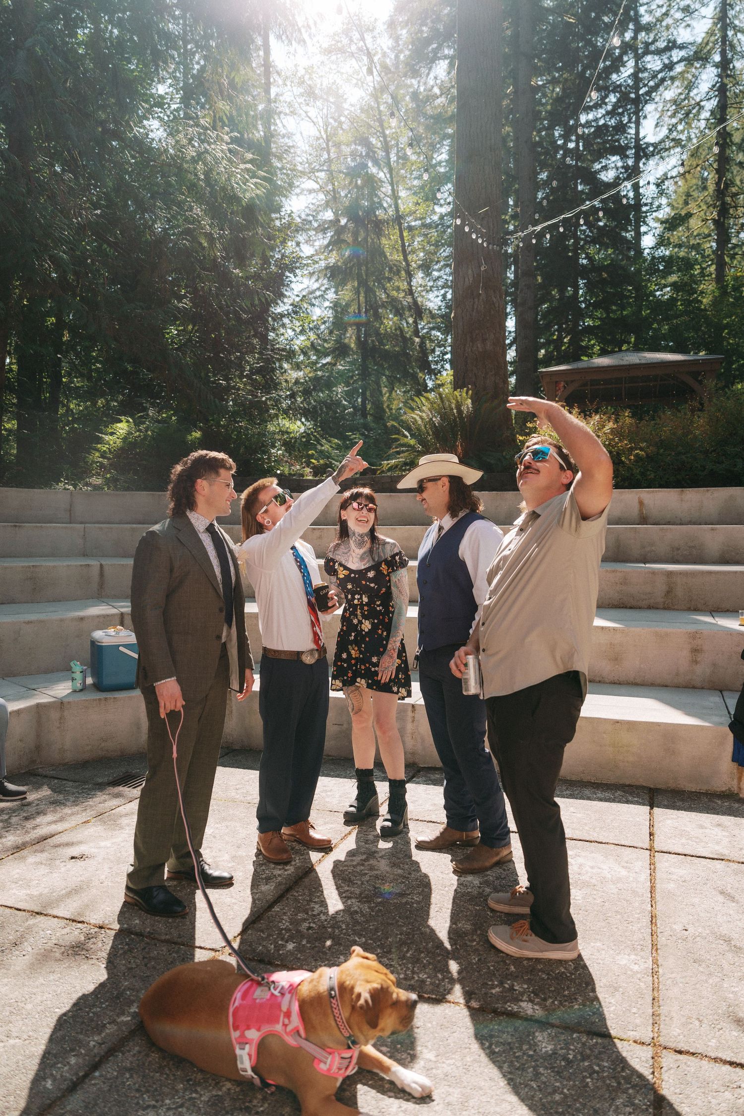 A group of five people look upward while a brown dog rests on the ground in a sunny forest setting.