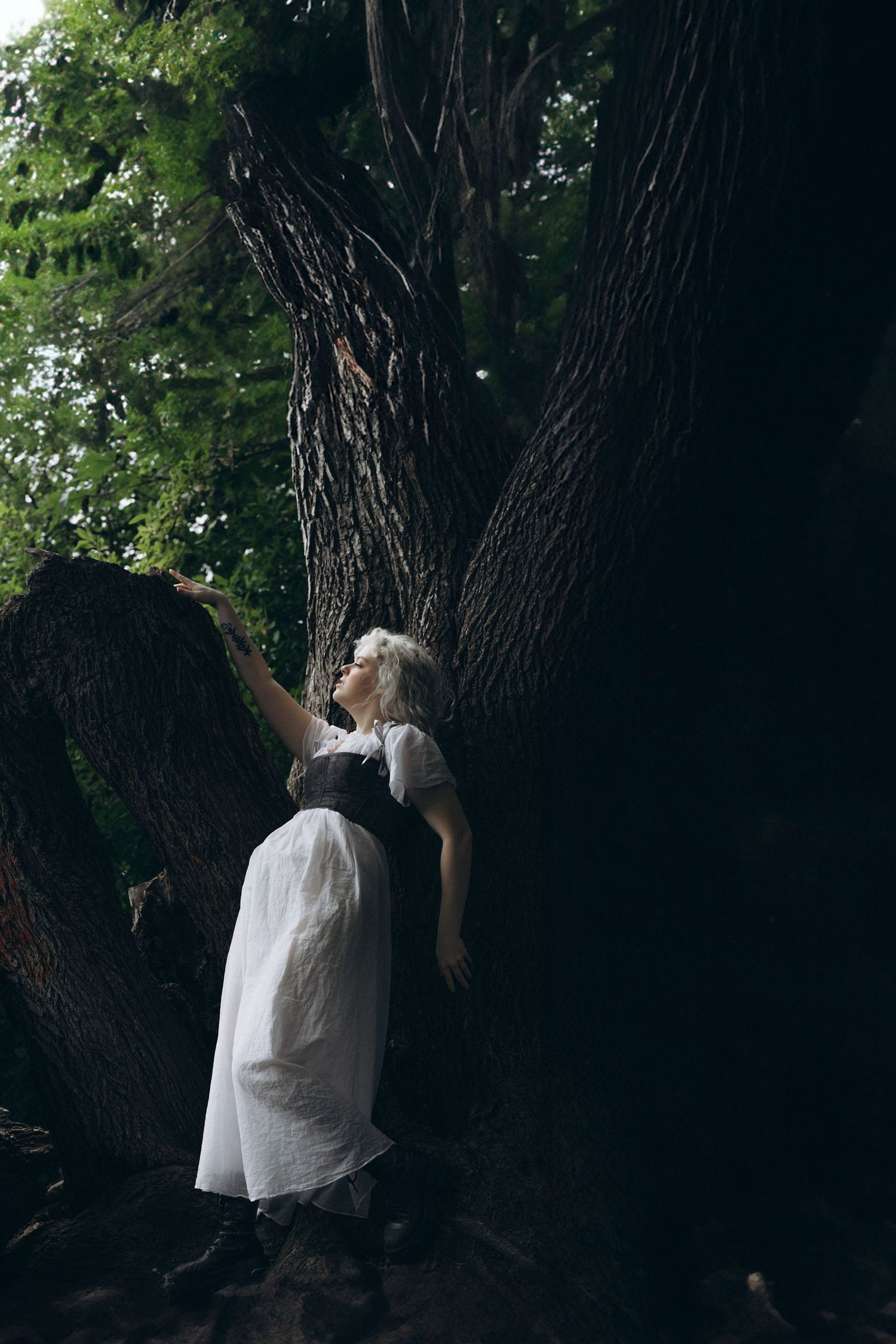 A blonde woman in a white dress reaches up toward a massive dark tree trunk in a lush green forest.