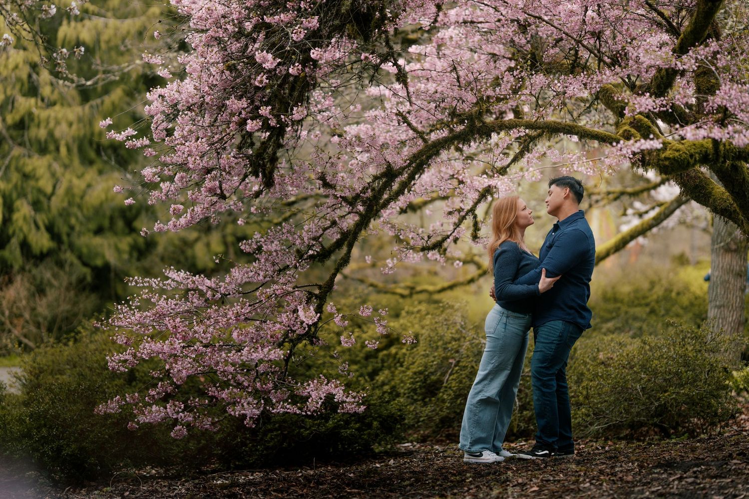 Couple standing together under a stunning pink cherry blossom tree in a garden.