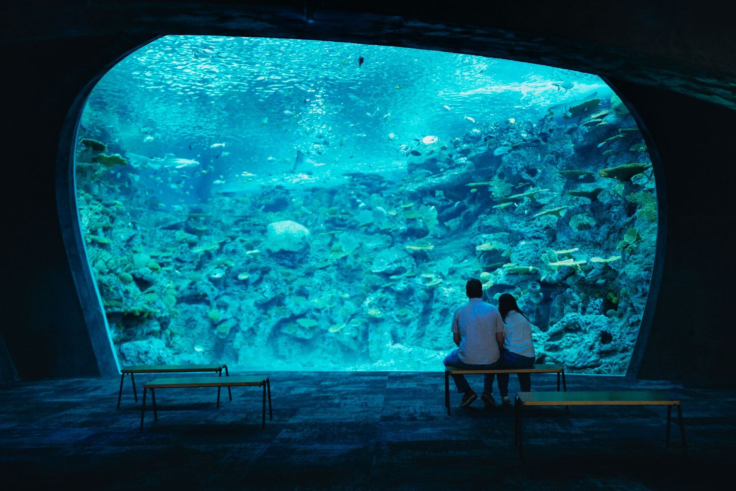 Couple sitting on a bench admiring a massive aquarium exhibit filled with diverse marine species.