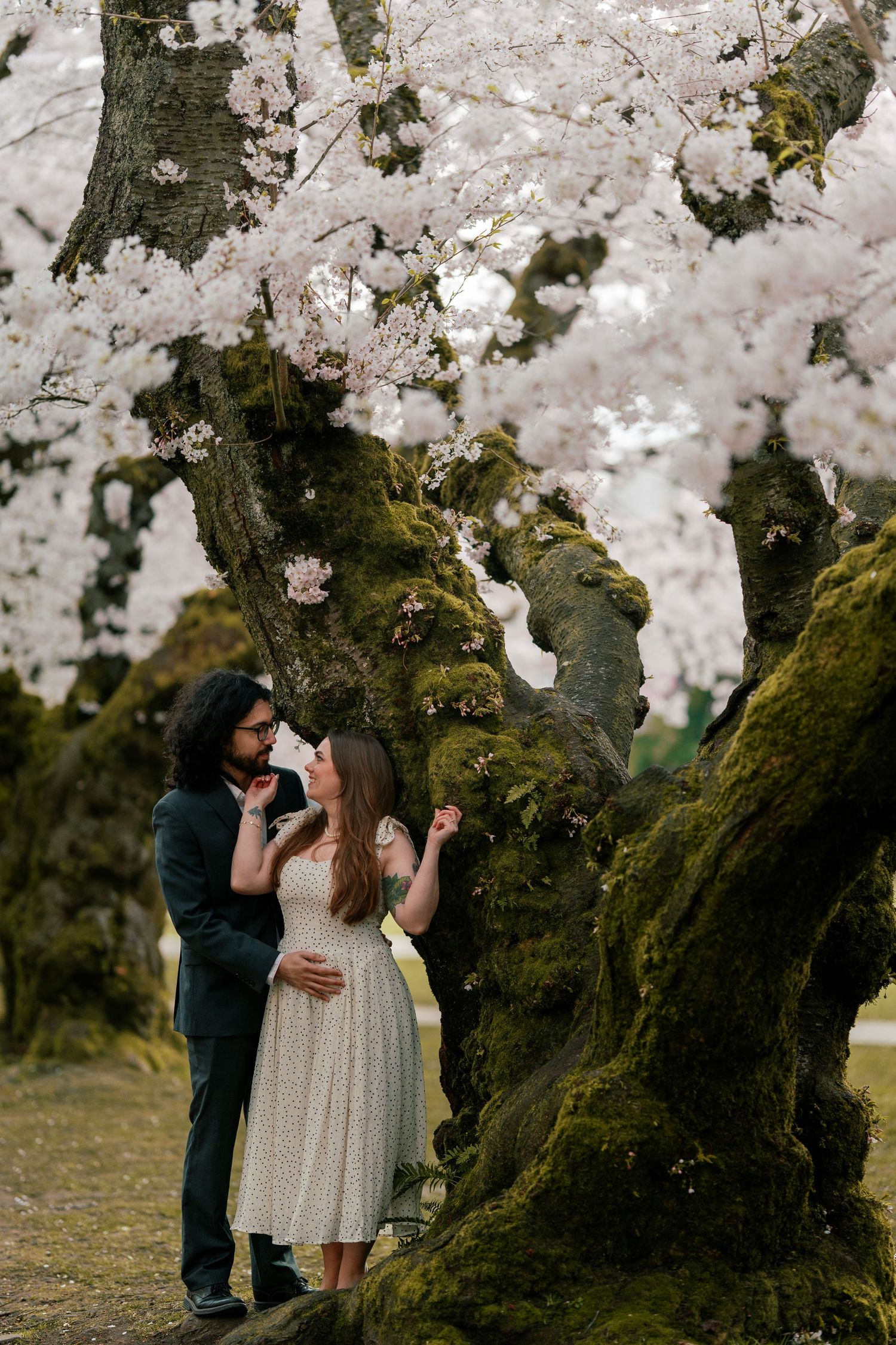 Romantic couple standing beneath ancient moss-covered cherry blossom tree in full bloom.