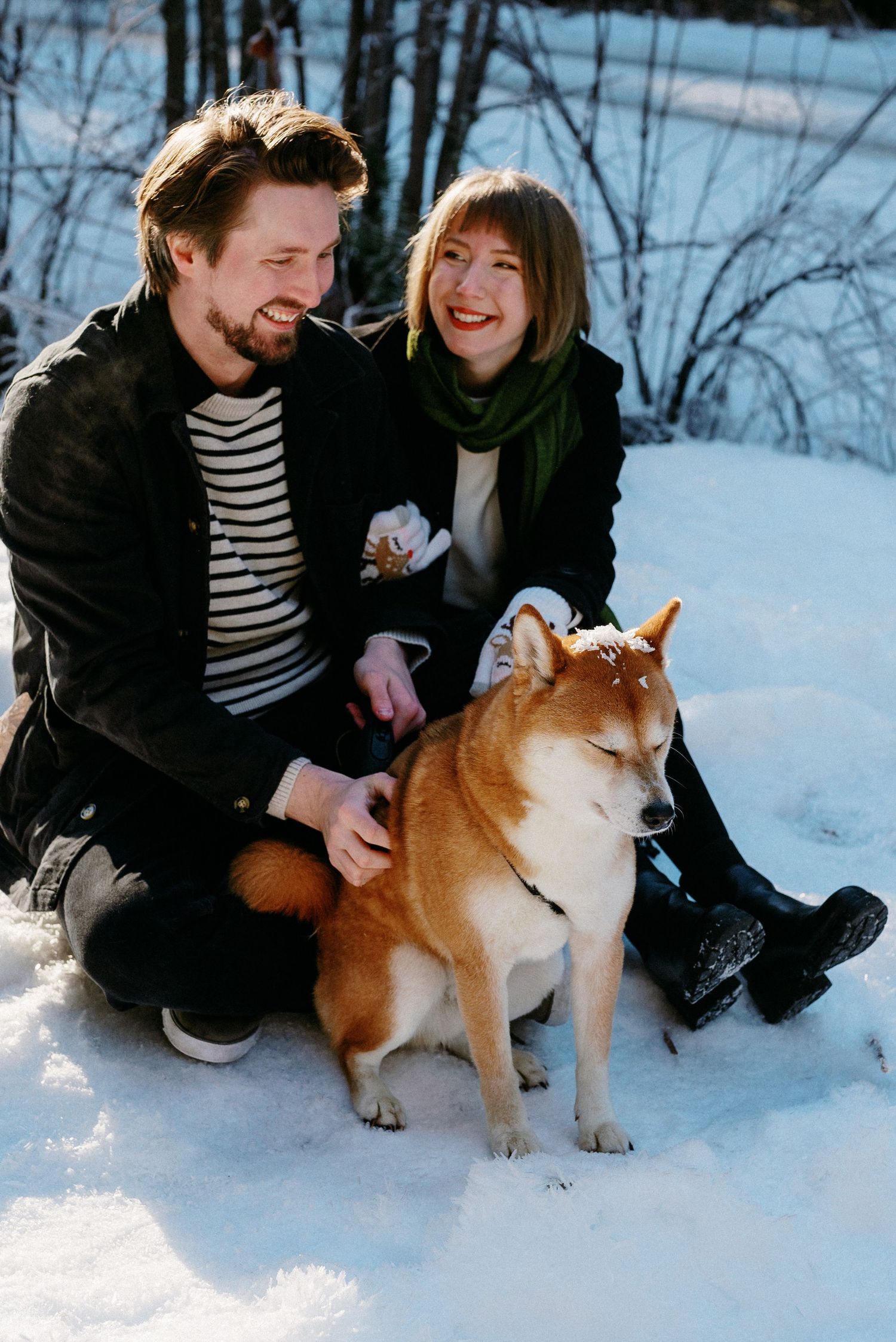 Happy couple sitting in snow petting their Shiba Inu dog in a sunny winter woodland setting.