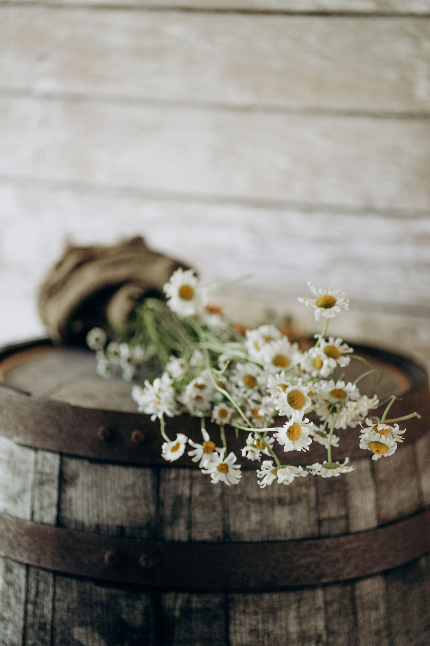 Delicate white daisy bouquet wrapped in burlap resting on a rustic wooden barrel.