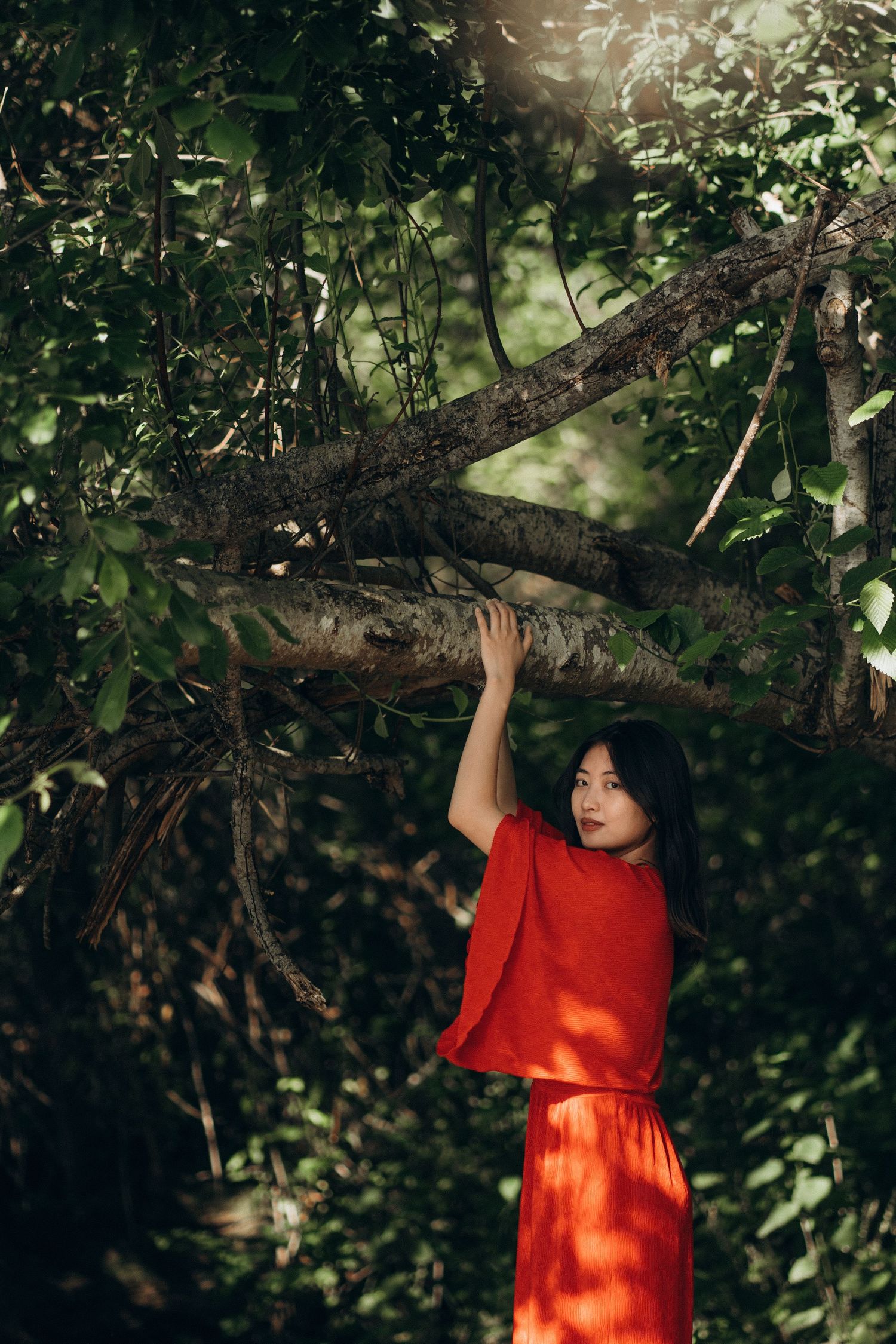 Woman in red outfit standing beside a large tree branch in a sunlit forest.