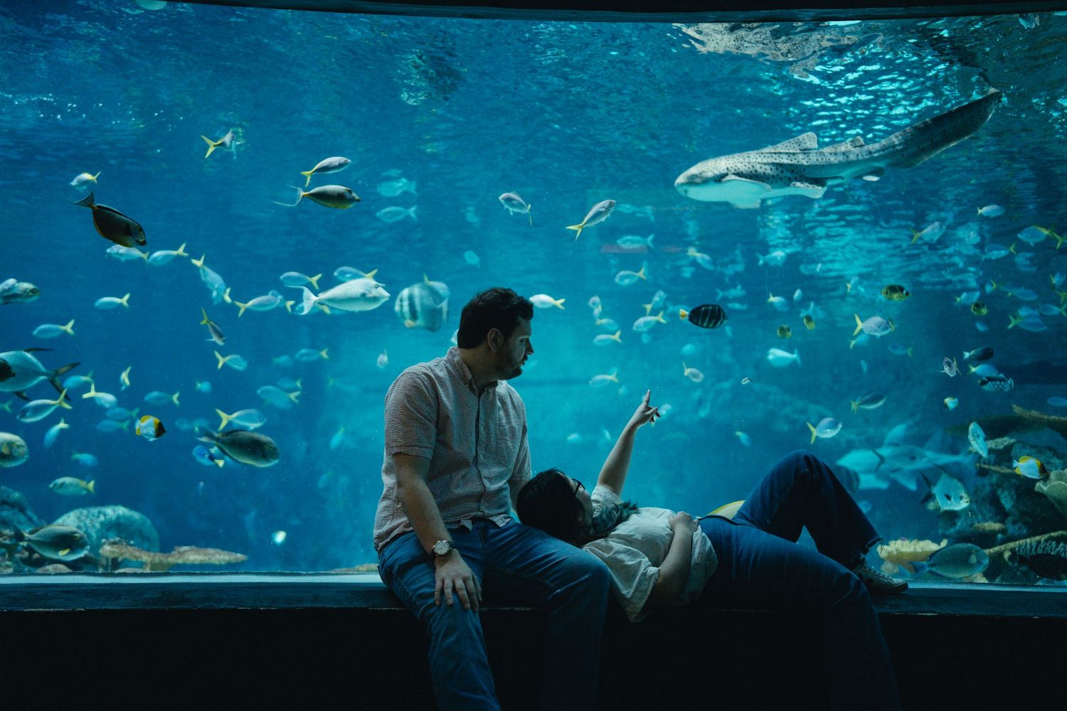 Couple relaxing and gazing at each other in front of a large aquarium filled with marine life.