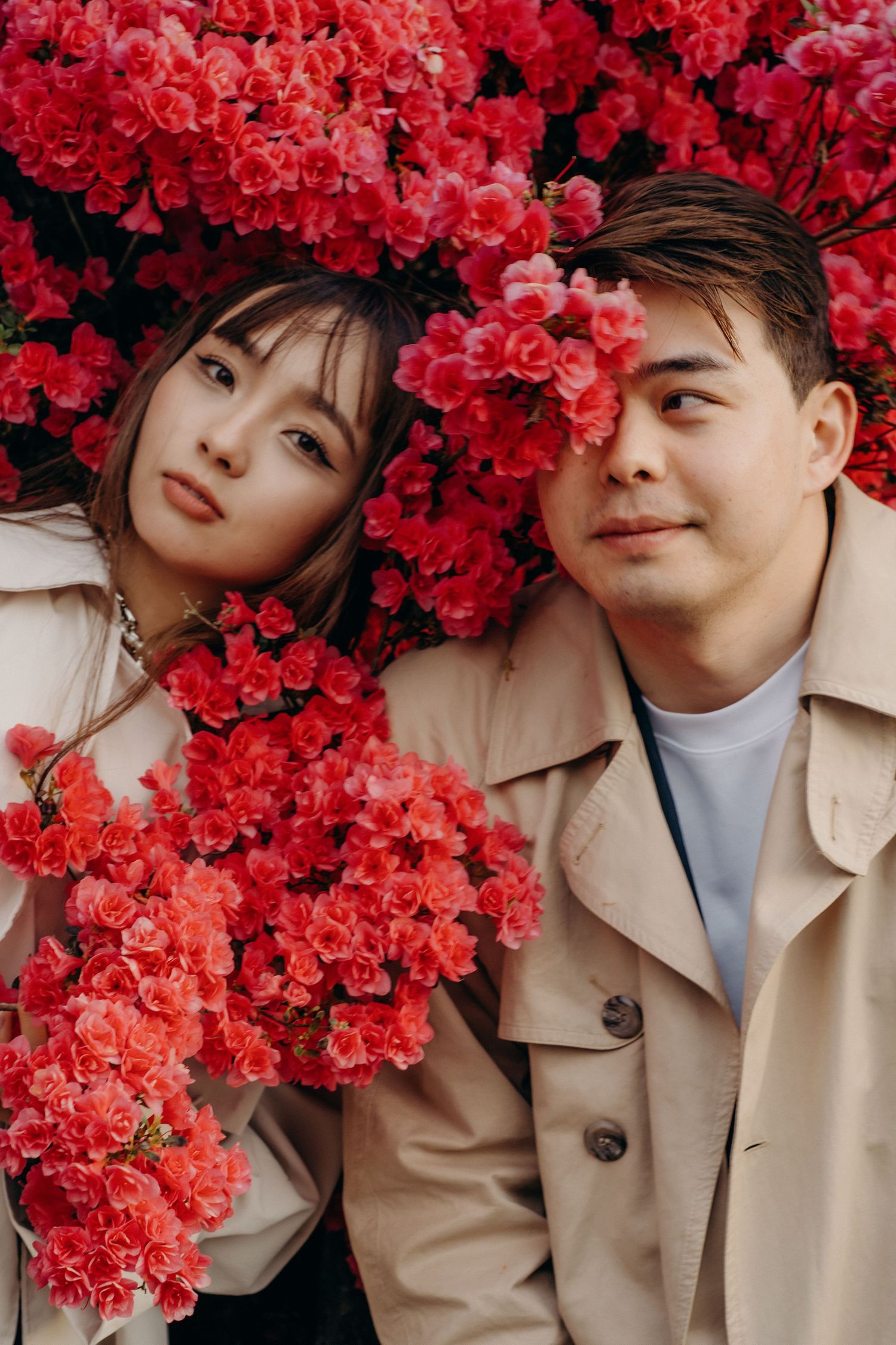 Asian couple posing romantically among vibrant red blooms, both wearing beige trench coats.