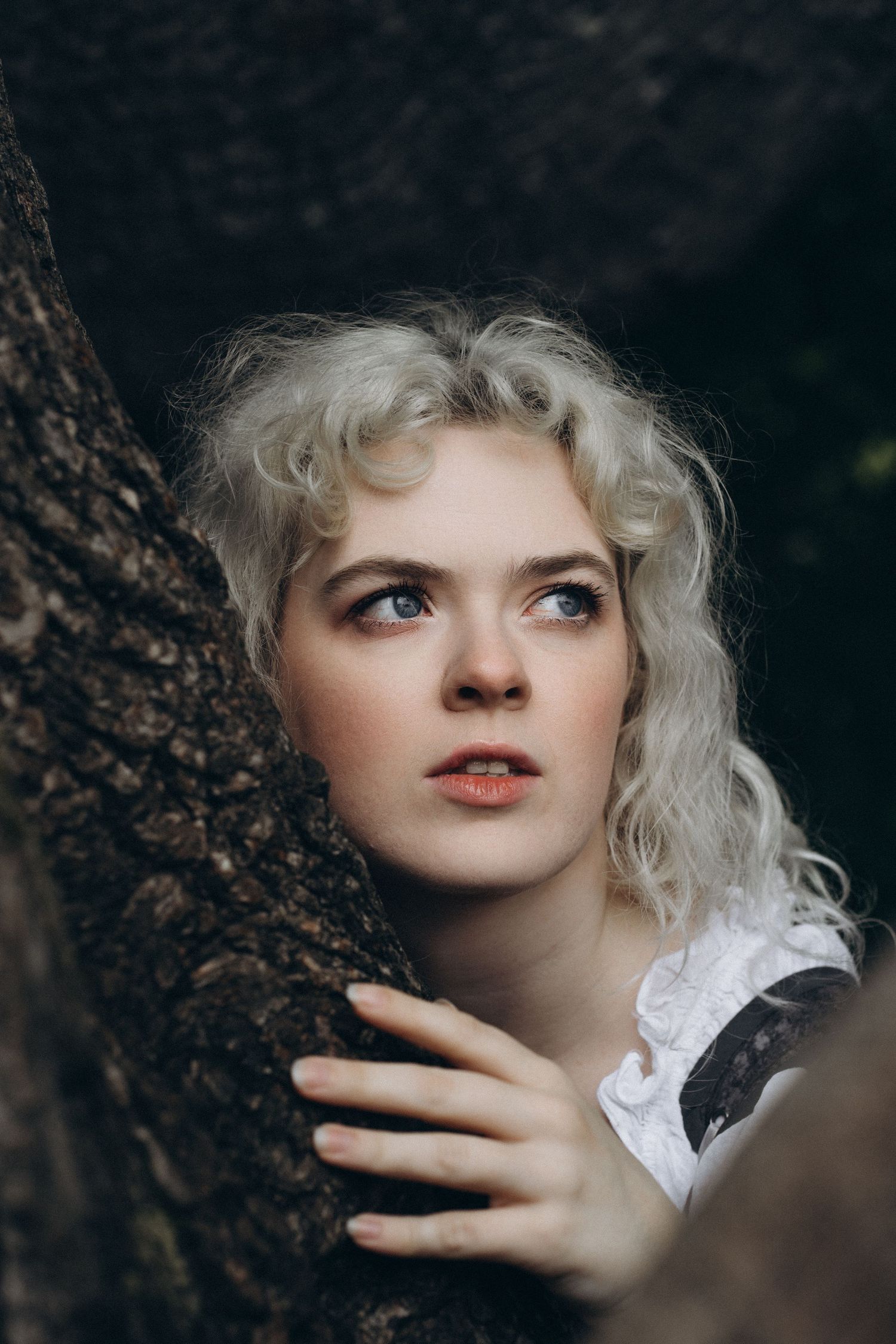 A close-up portrait of a blonde curly-haired woman peering around a dark tree trunk with an intense gaze.