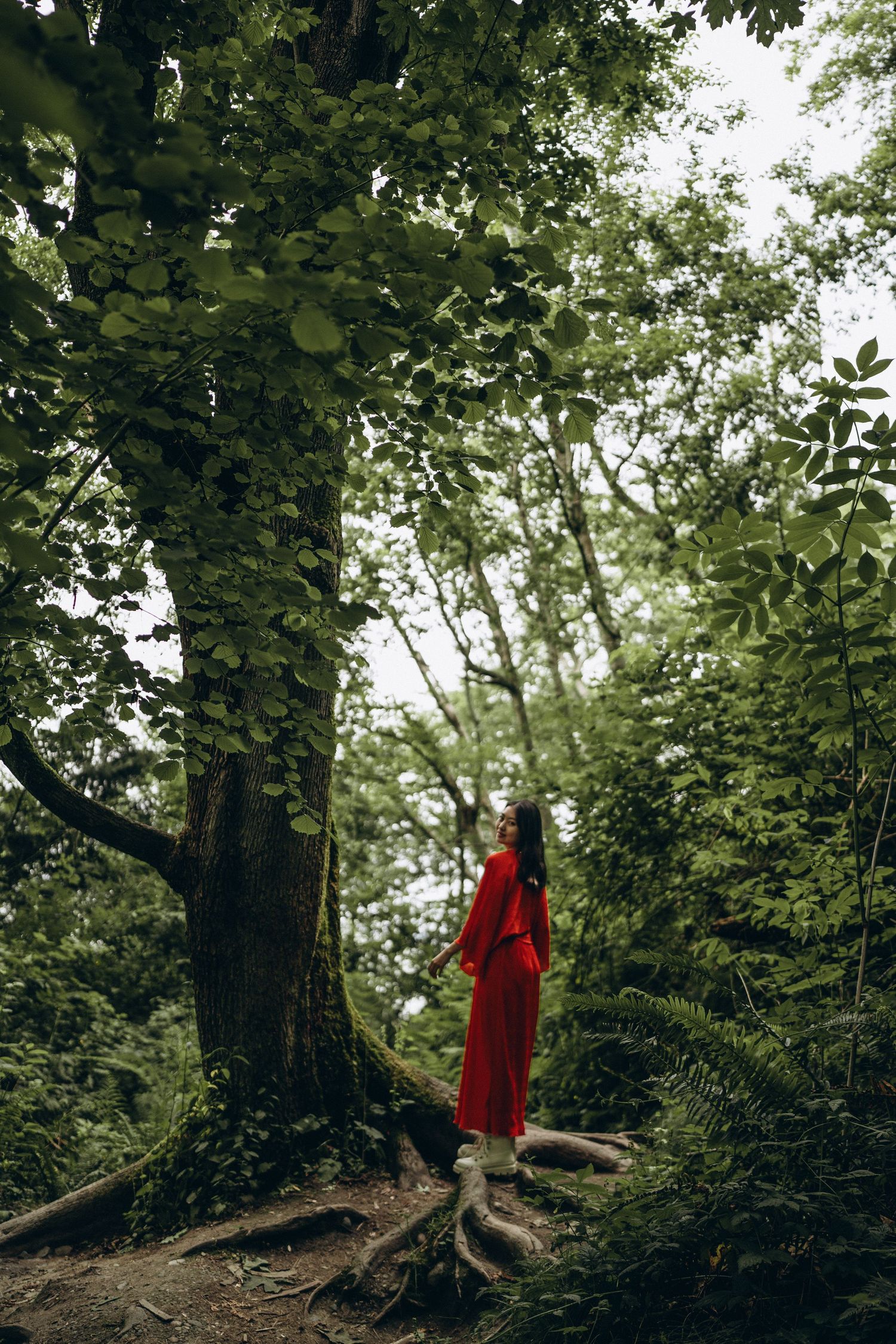 Woman in red dress standing among tall green trees in a lush forest.