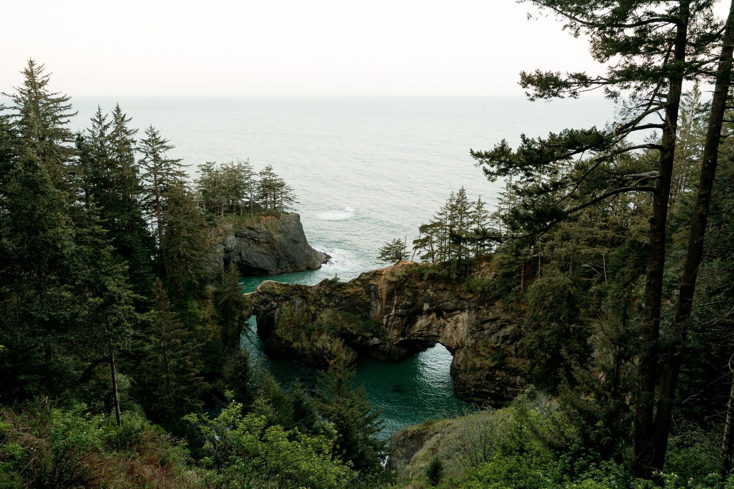 Scenic coastal overlook with natural rock arch, turquoise water, and evergreen trees in Oregon.
