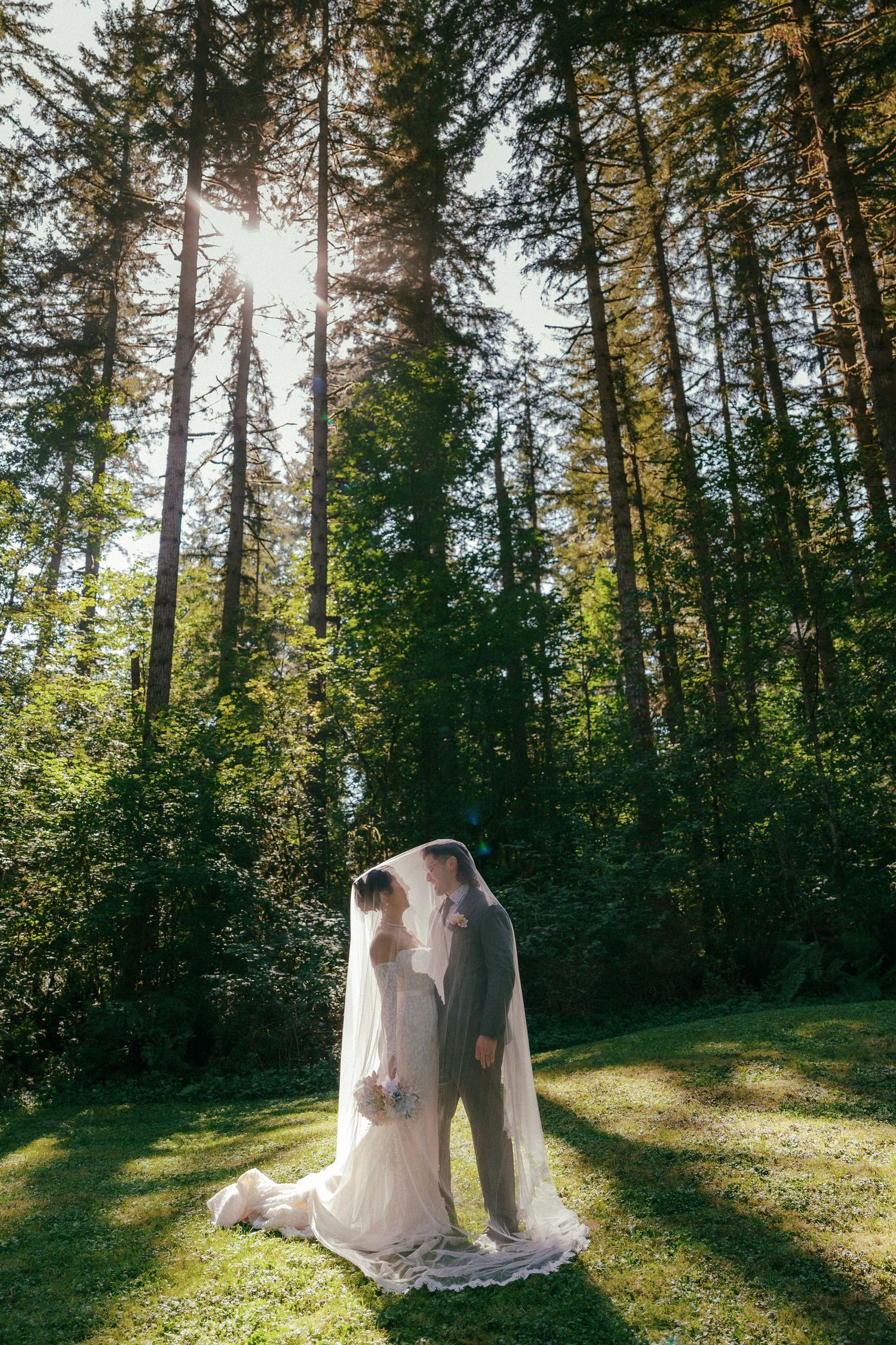 Newlyweds kissing under flowing veil in sunlit tall forest trees.