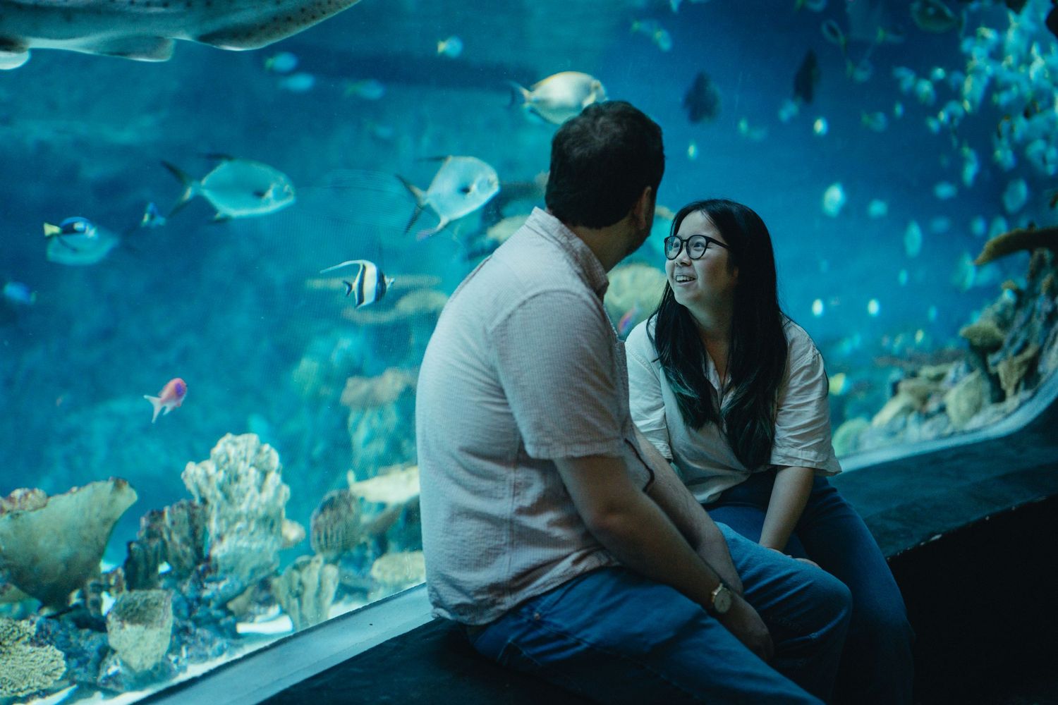 Couple sitting close together and smiling in front of a vibrant aquarium tank with colorful fish.