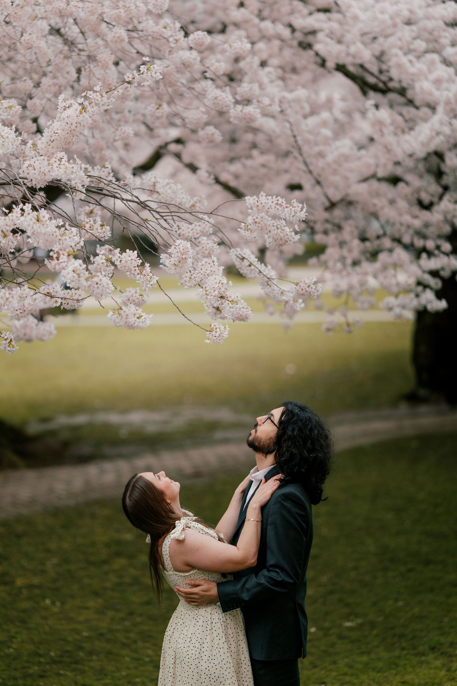 Couple embracing under blooming cherry blossom tree in spring park, romantic engagement photo.