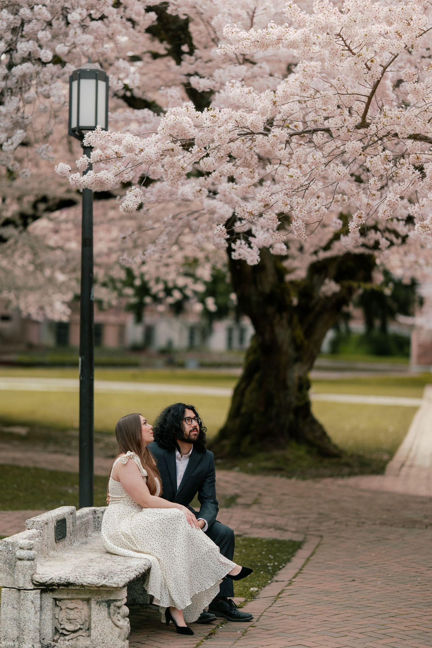 Couple sitting on stone bench beneath stunning cherry blossom tree in full spring bloom.
