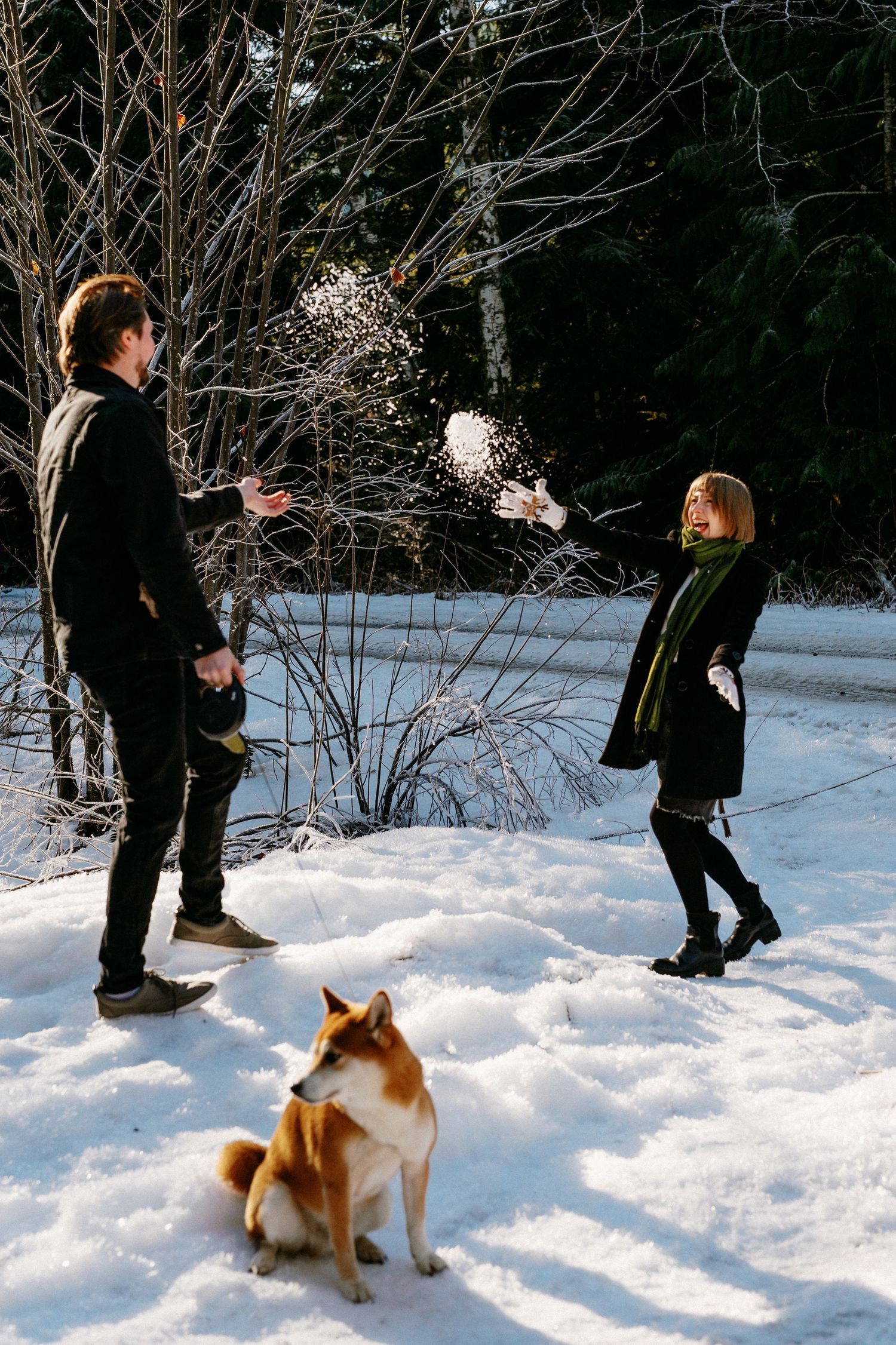 Couple playing in snow with Shiba Inu dog watching, surrounded by winter trees in bright sunlight.