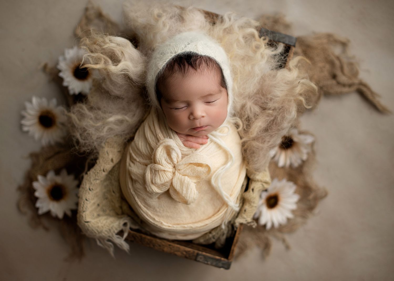 baby girl swaddled in a box with cream textures and white sunflowers, soft studio setup, Victoria BC newborn photography