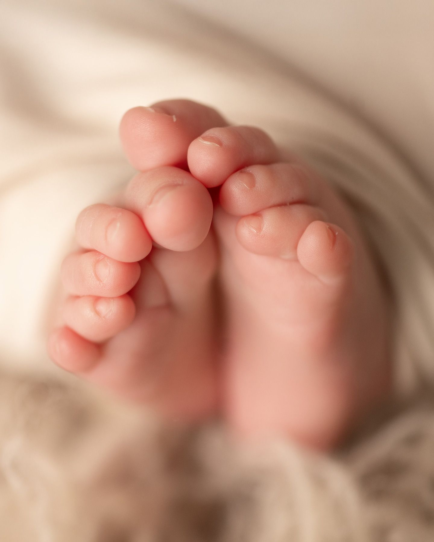 Close-up of tiny baby toes against soft beige fabric in gentle lighting, Victoria BC newborn photographer