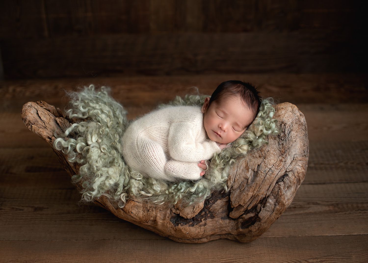 baby posed on a natural wood log with earthy tones and textures, studio portrait, Victoria BC