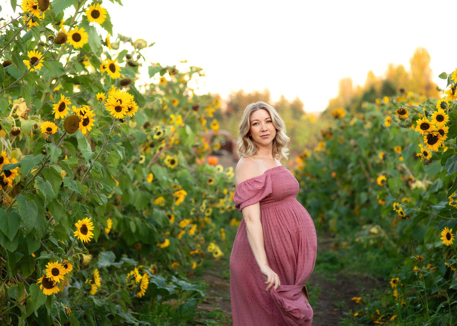 pregnant mother in a sunflower field, Victoria BC maternity photography