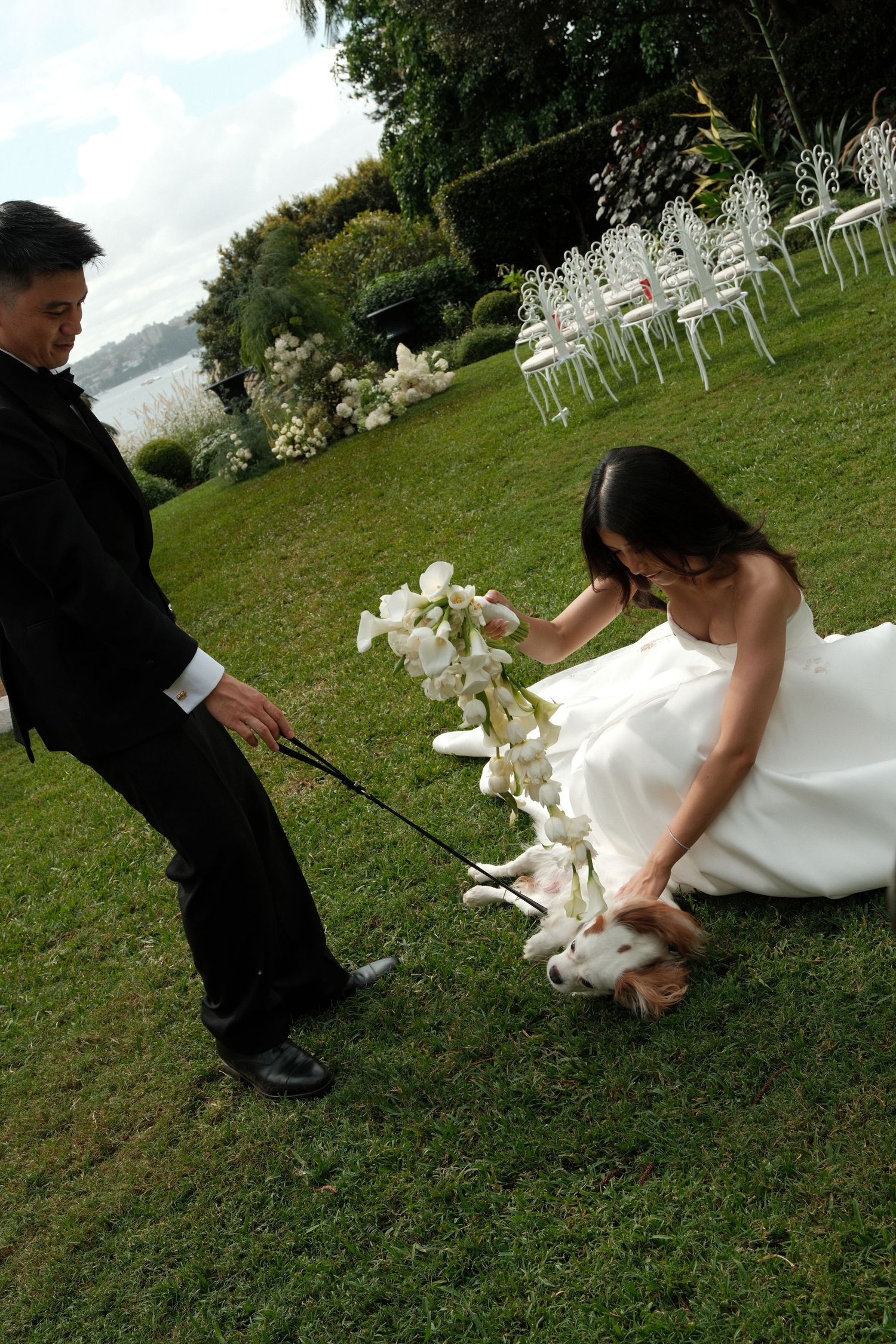 A white dog in formal wedding attire playfully rolls on the grass while being petted at an outdoor wedding ceremony.