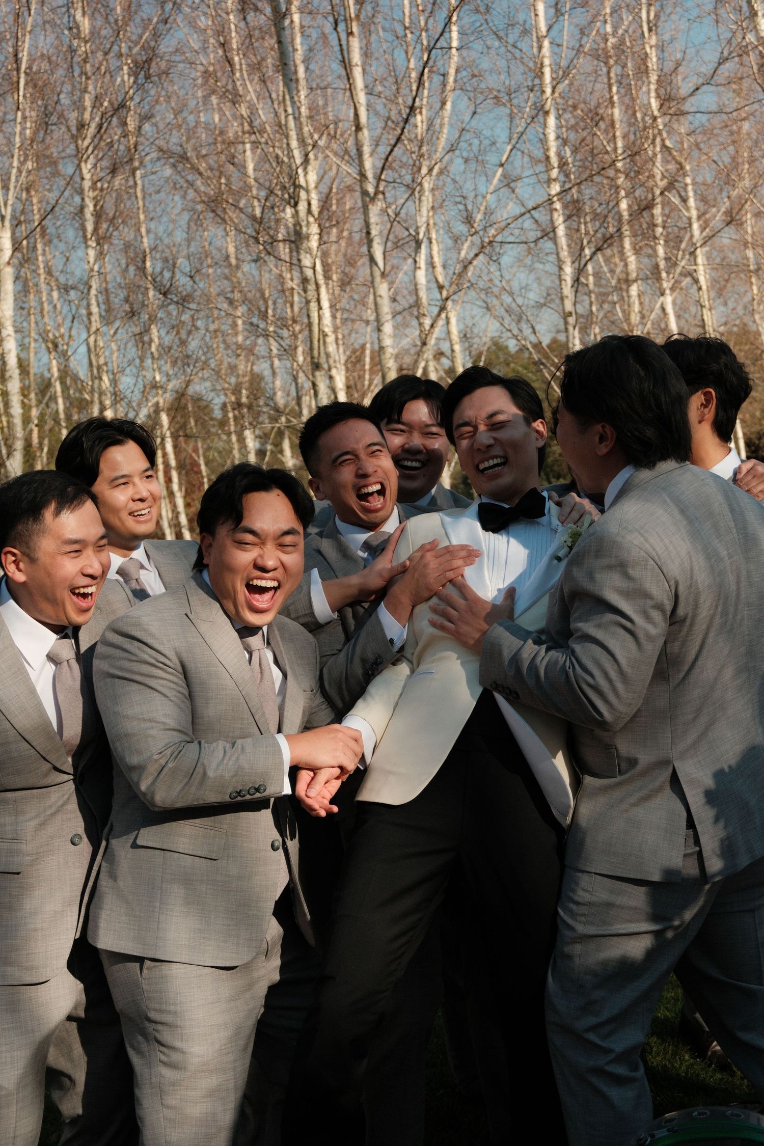 Groomsmen in gray suits laughing and celebrating outdoors with birch trees in the background.