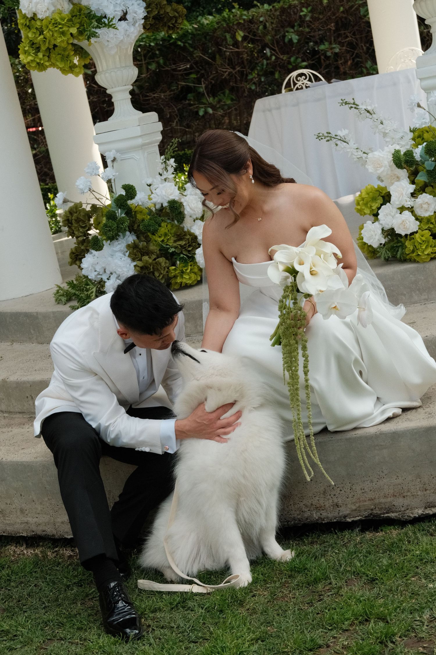 Bride and groom in wedding attire sit on steps petting a fluffy white dog, surrounded by white floral decorations.