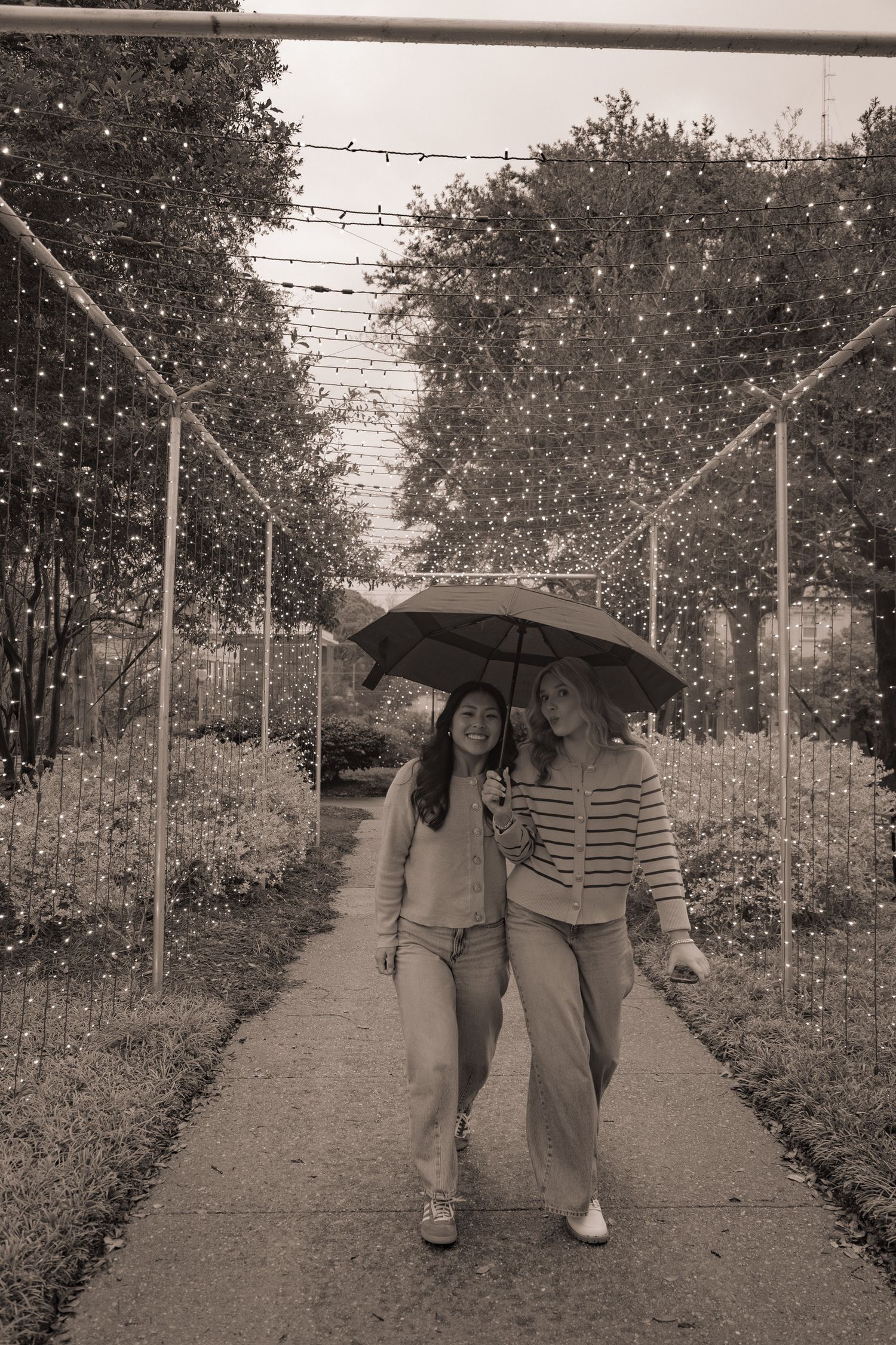 People walking along a tree-lined path with string lights overhead in black and white.