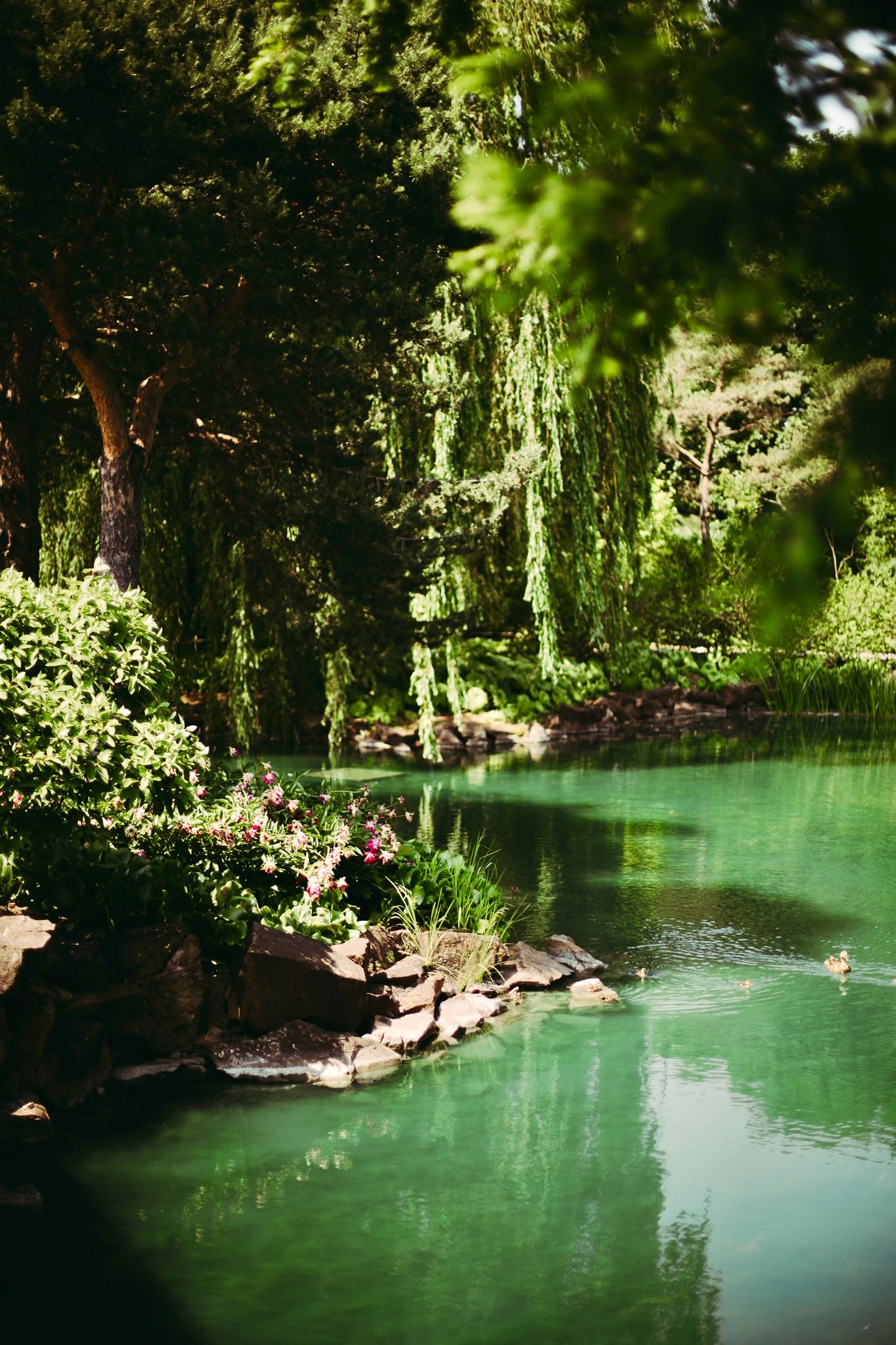 landscape