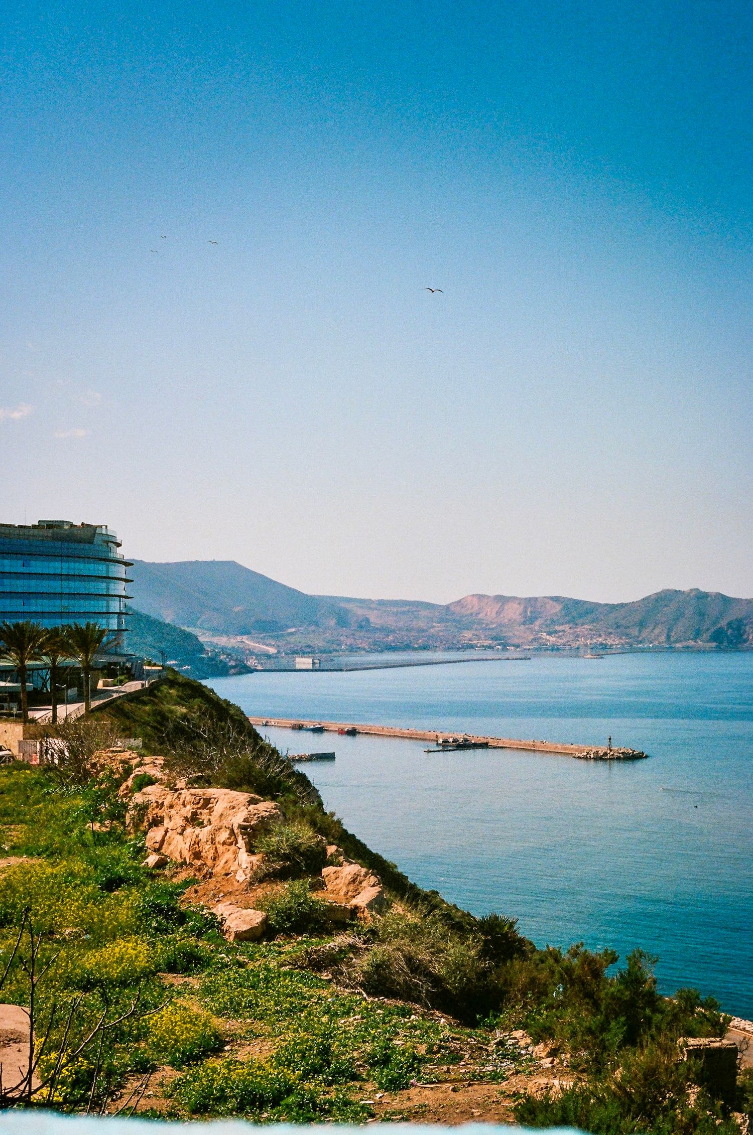 landscape