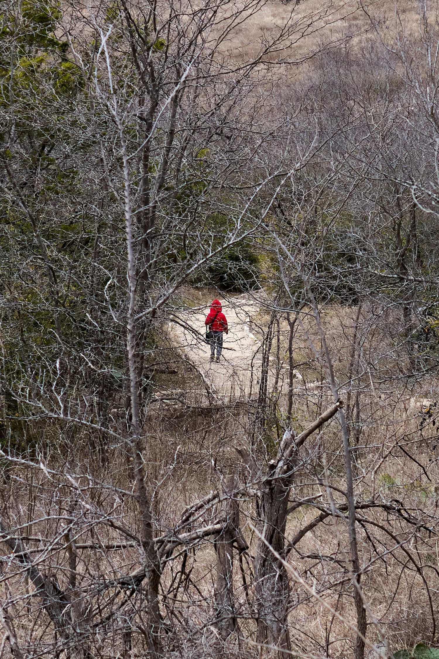 Park, Street Photography, Ceder Hill
