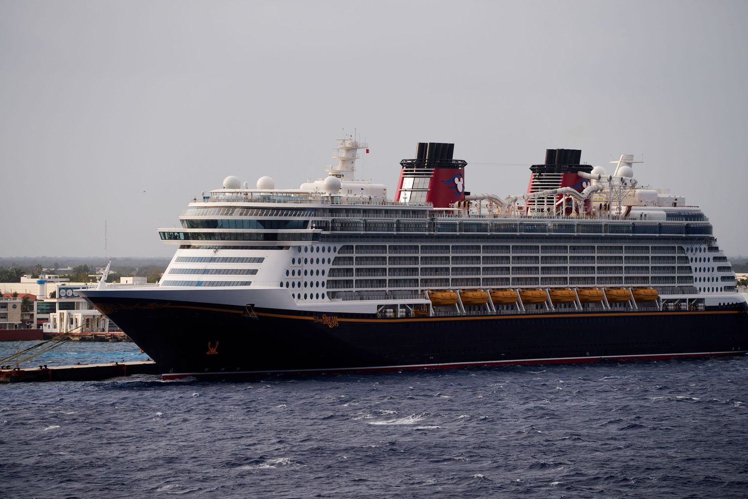 Cruise ship
