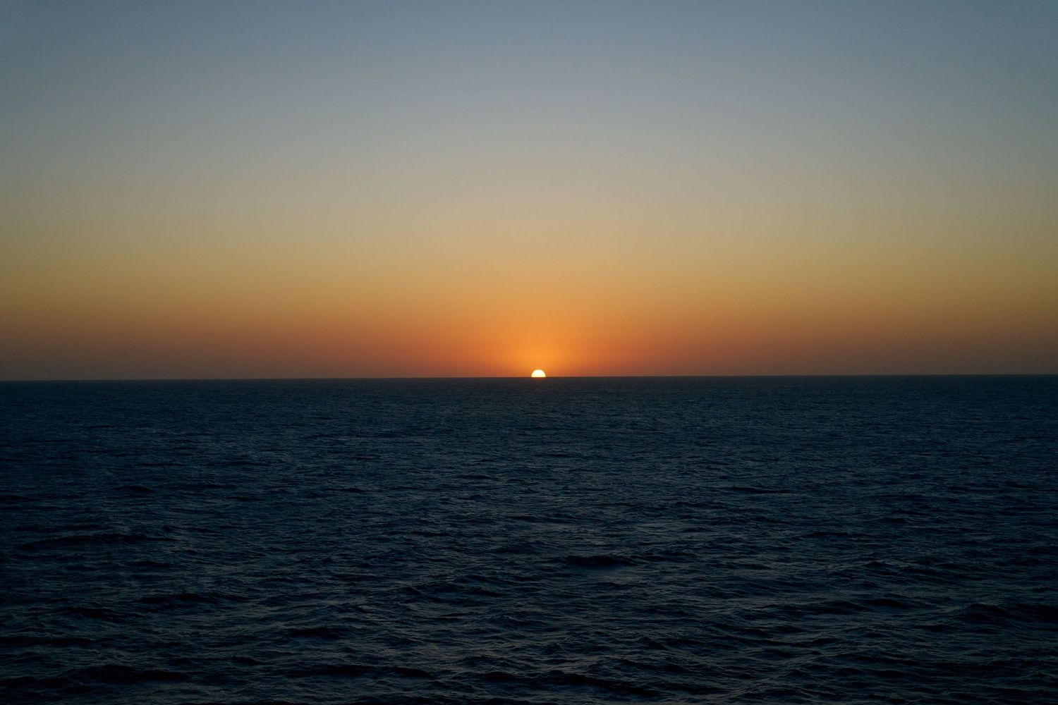 Gulf of Mexico, Cruise