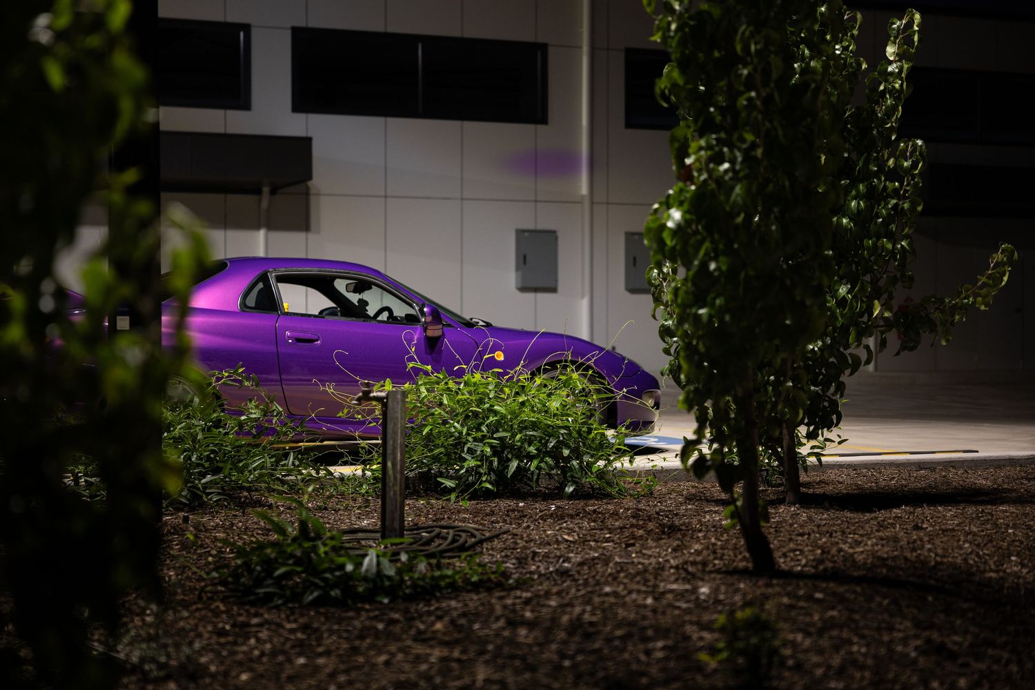 FTO