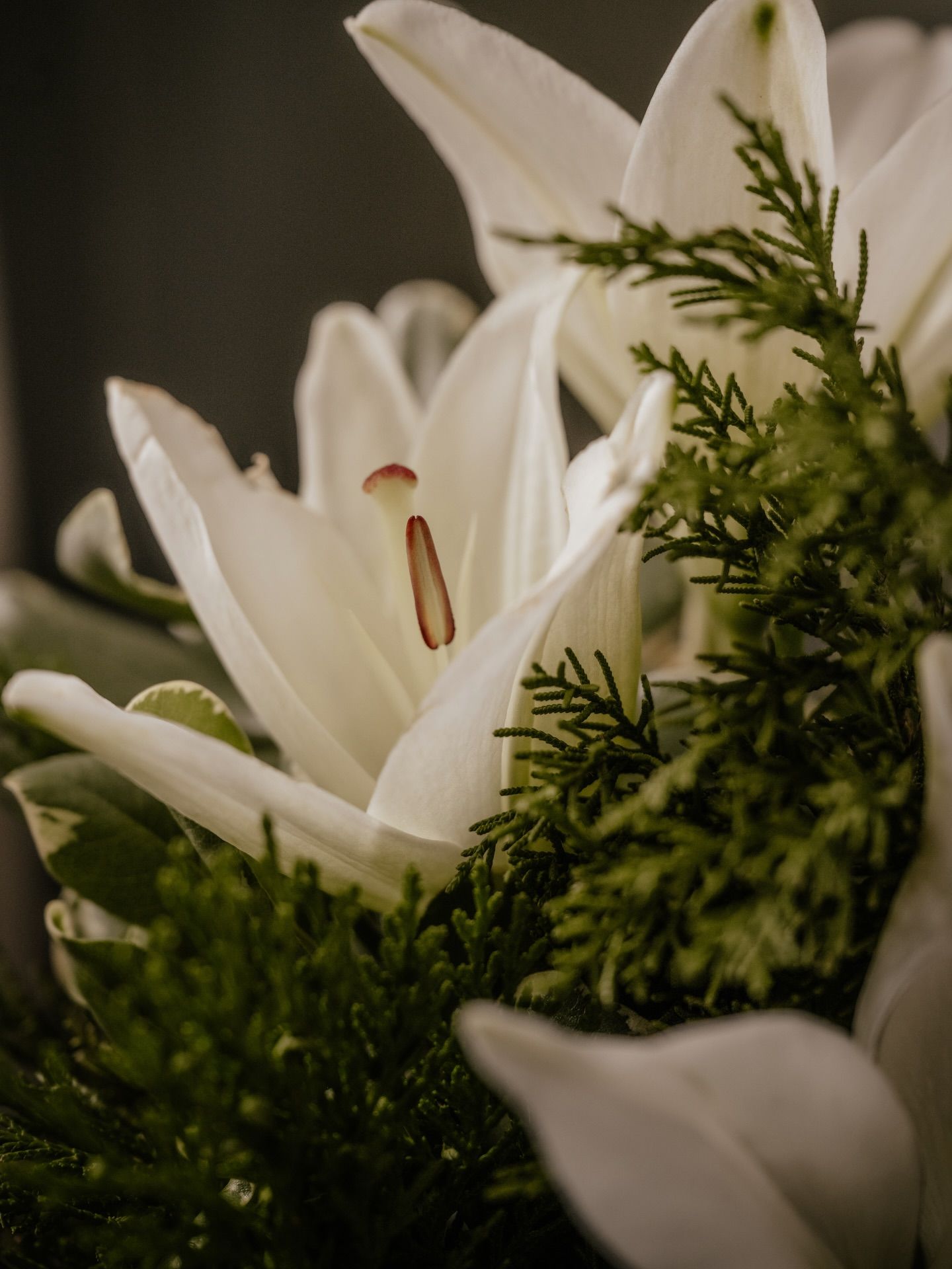 A macro shot of a white lily flower with green ferns in soft focus.