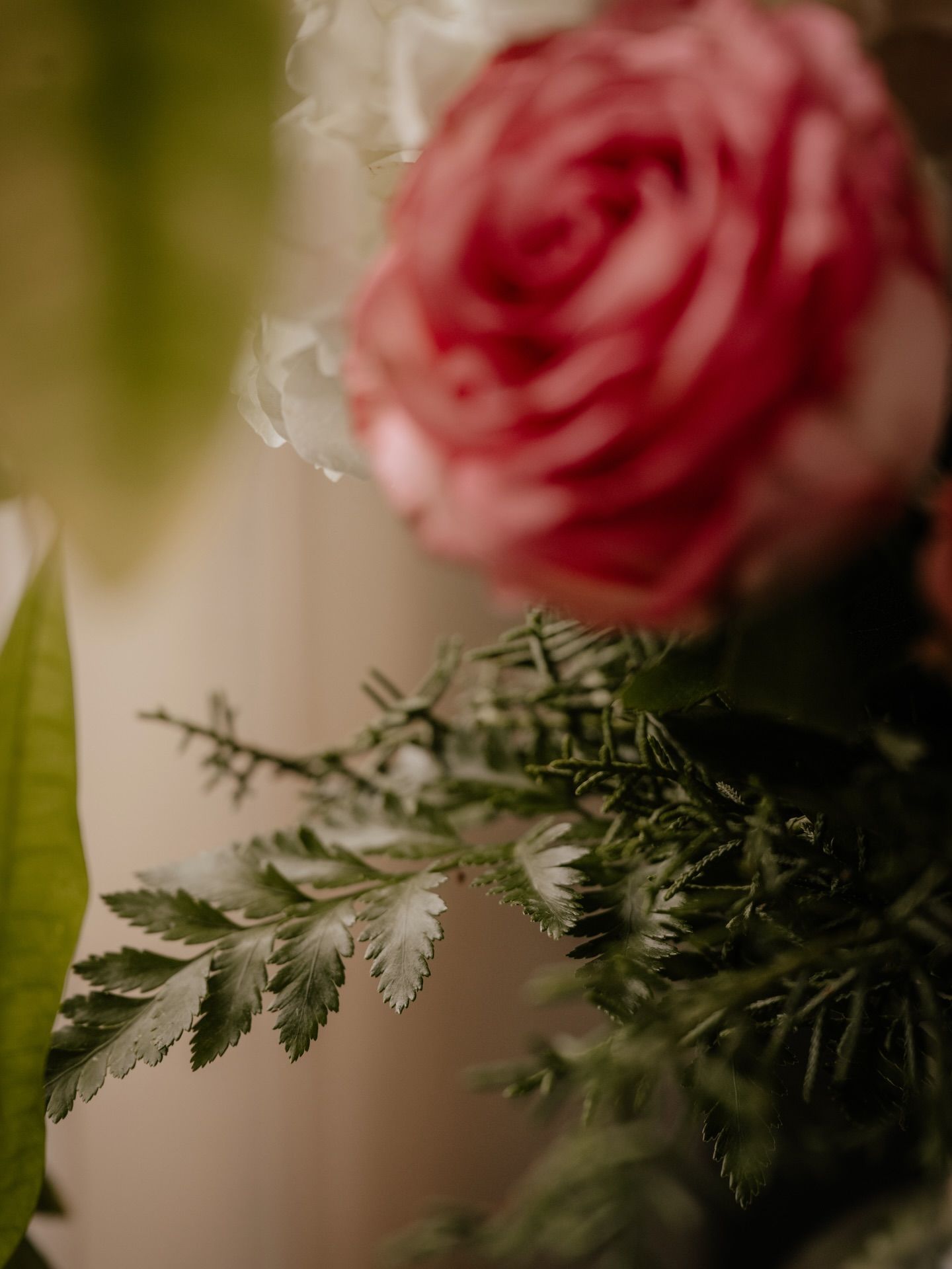 Close-up detail of pink roses with delicate fern leaves in soft focus.