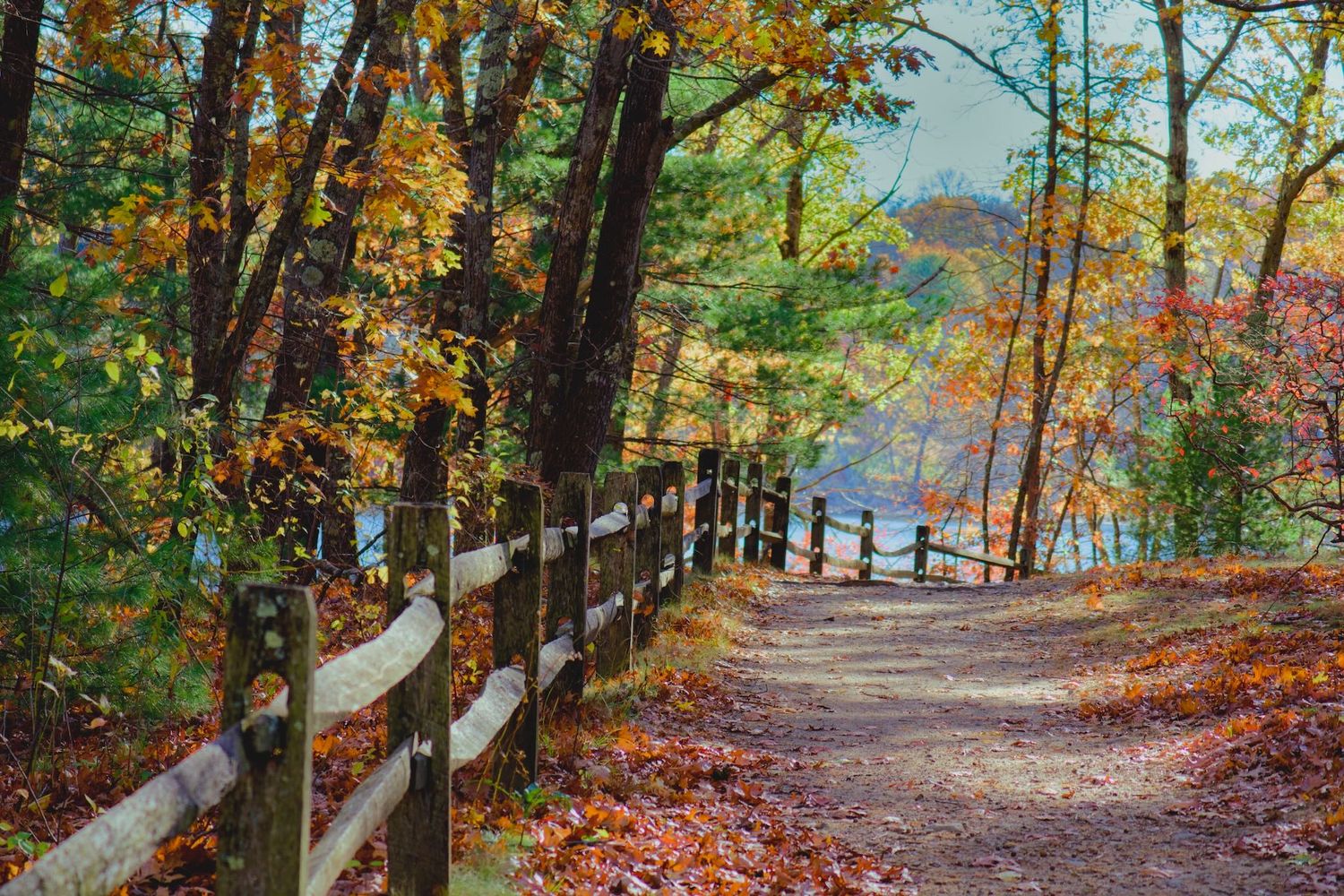 Wooden fence along a trail in autumn.