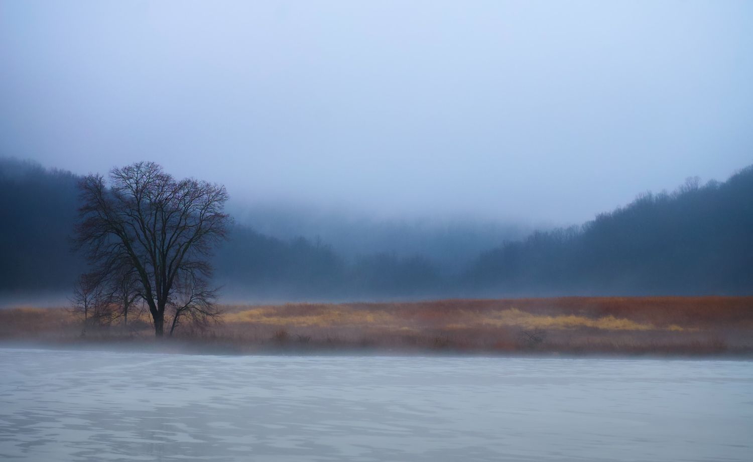 A misty landscape of a tree by a frozen lake.