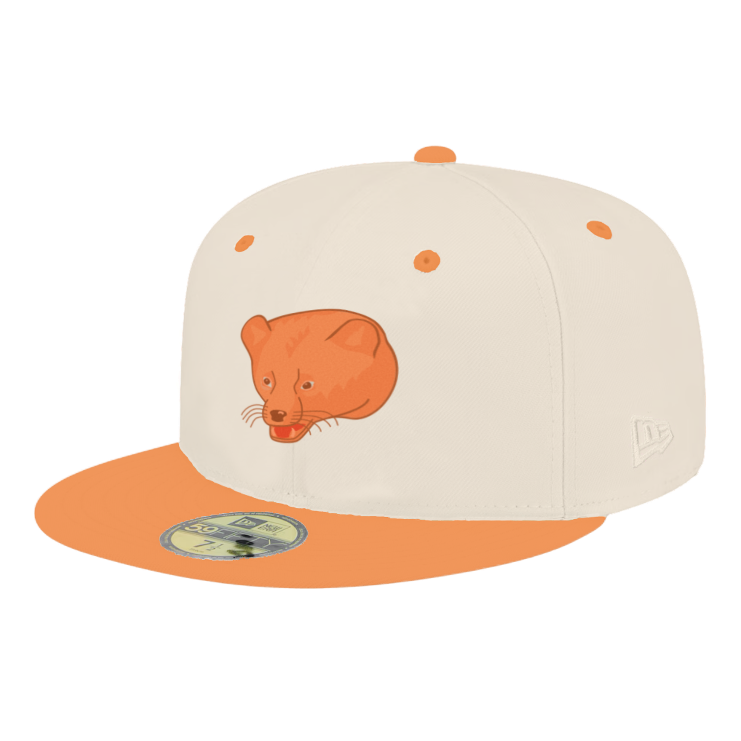 A mockup of a hat for a rebrand concept for the New Hampshire Fisher Cats minor league baseball team.