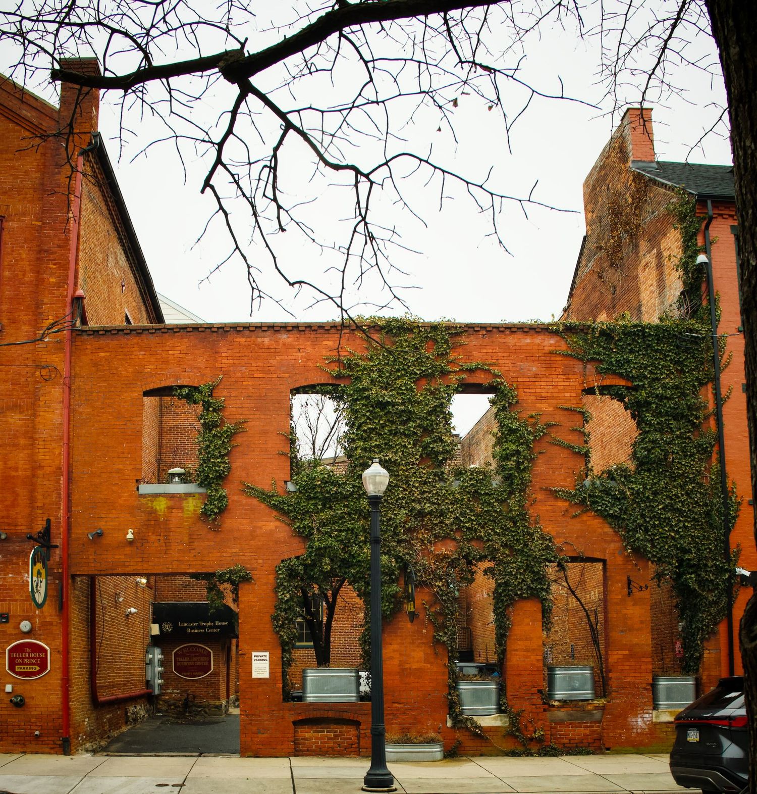 Facade of building with ivy growing in Lancaster.