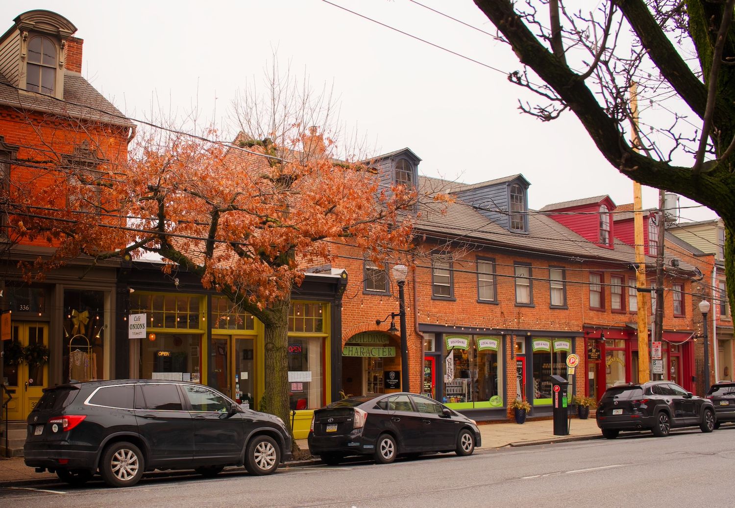 Orange tree along red brick buildings on Lancaster street.
