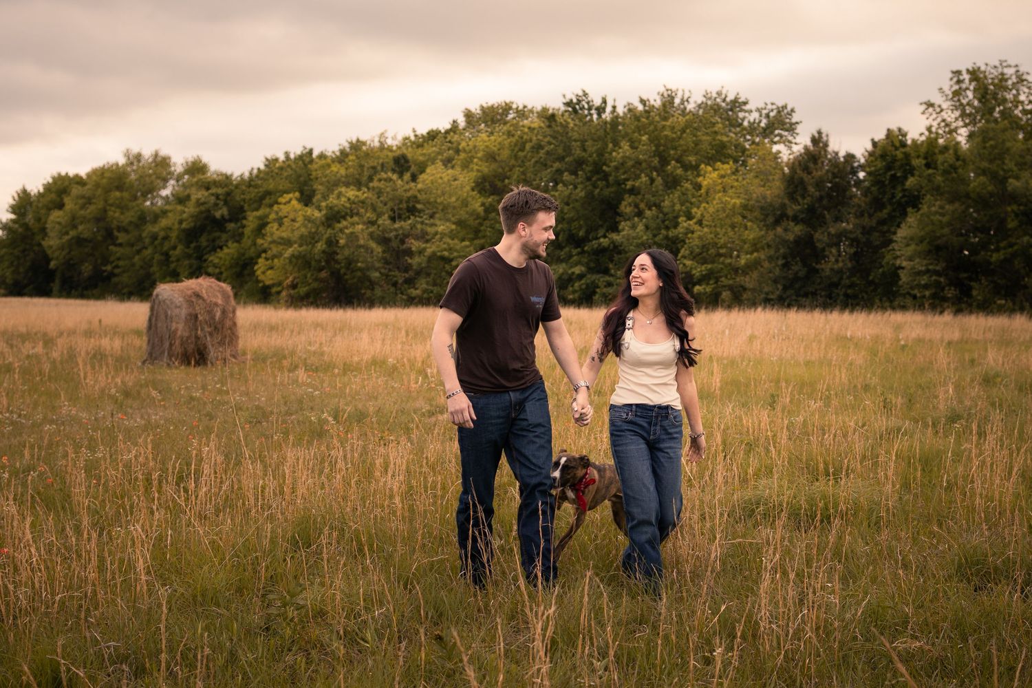 Couple walking with dark brown dog in golden field at sunset with hay bale and trees in background.