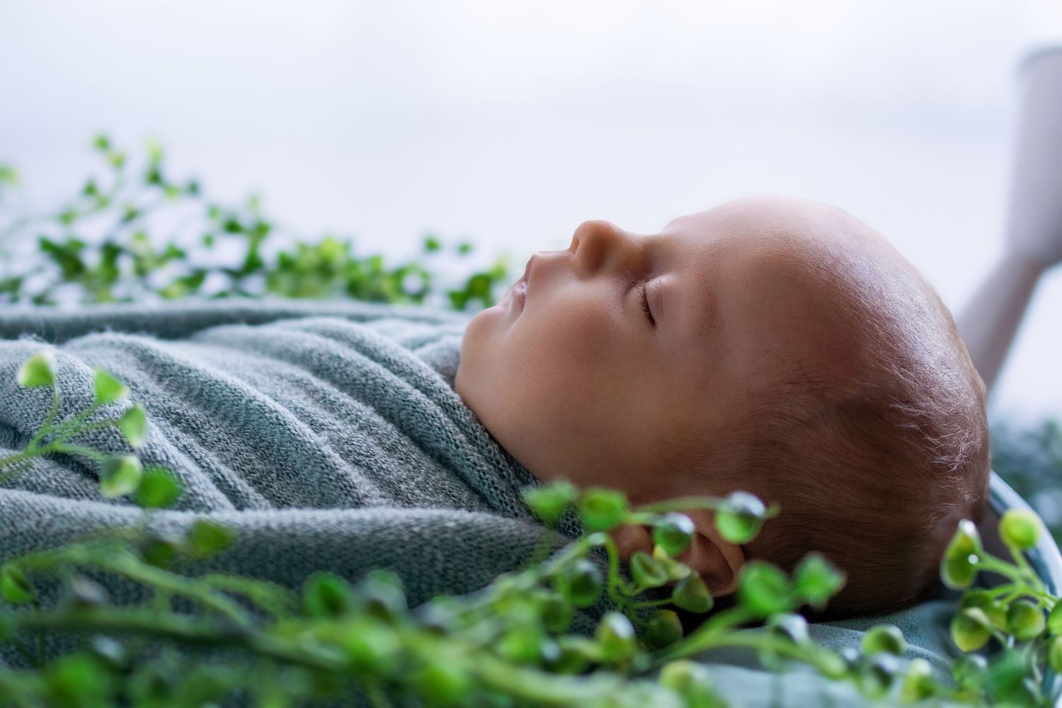 Peaceful newborn baby sleeping swaddled in a soft gray blanket surrounded by lush green leaves.
