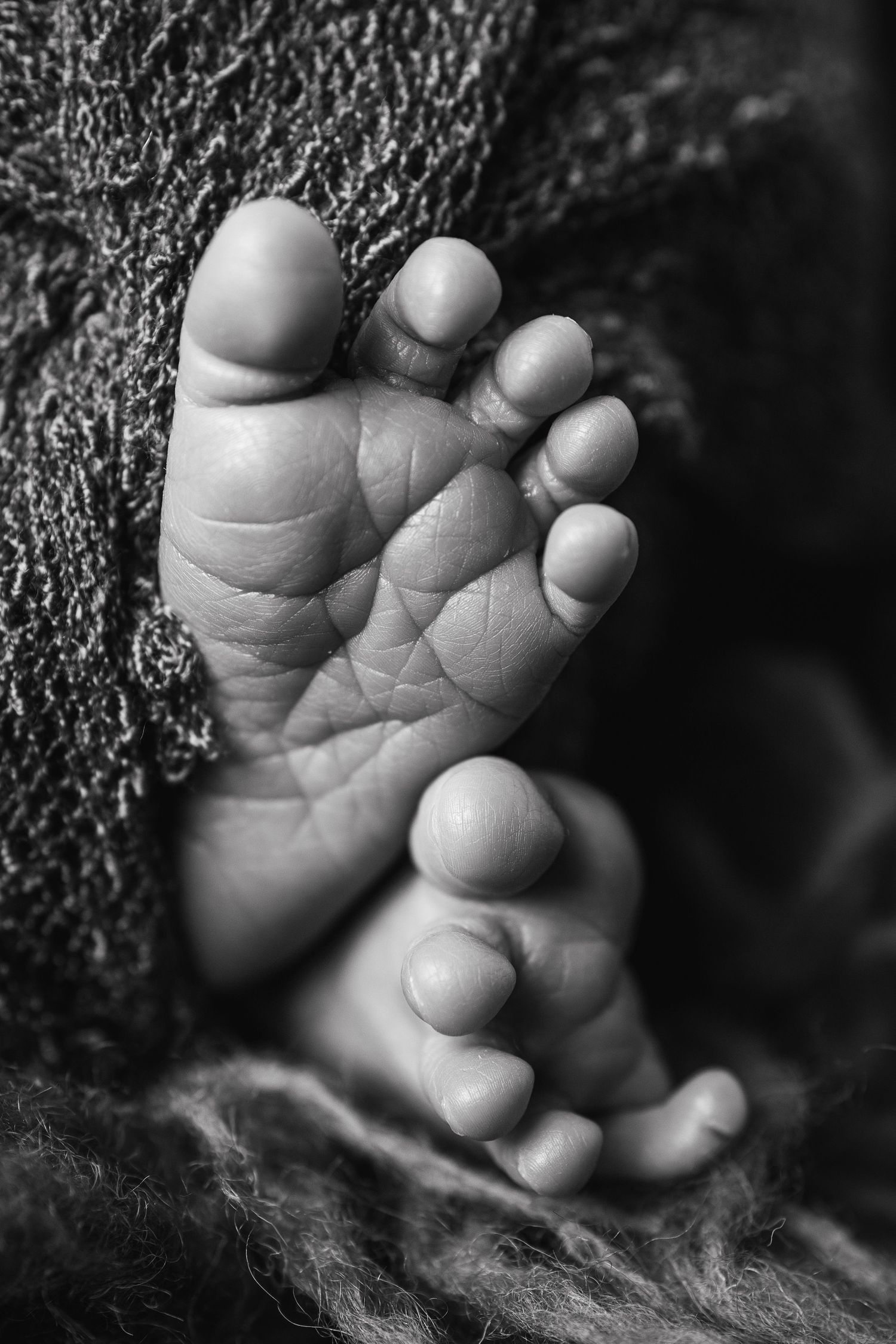 Black and white close-up photo of tiny newborn baby feet resting on a soft textured blanket.