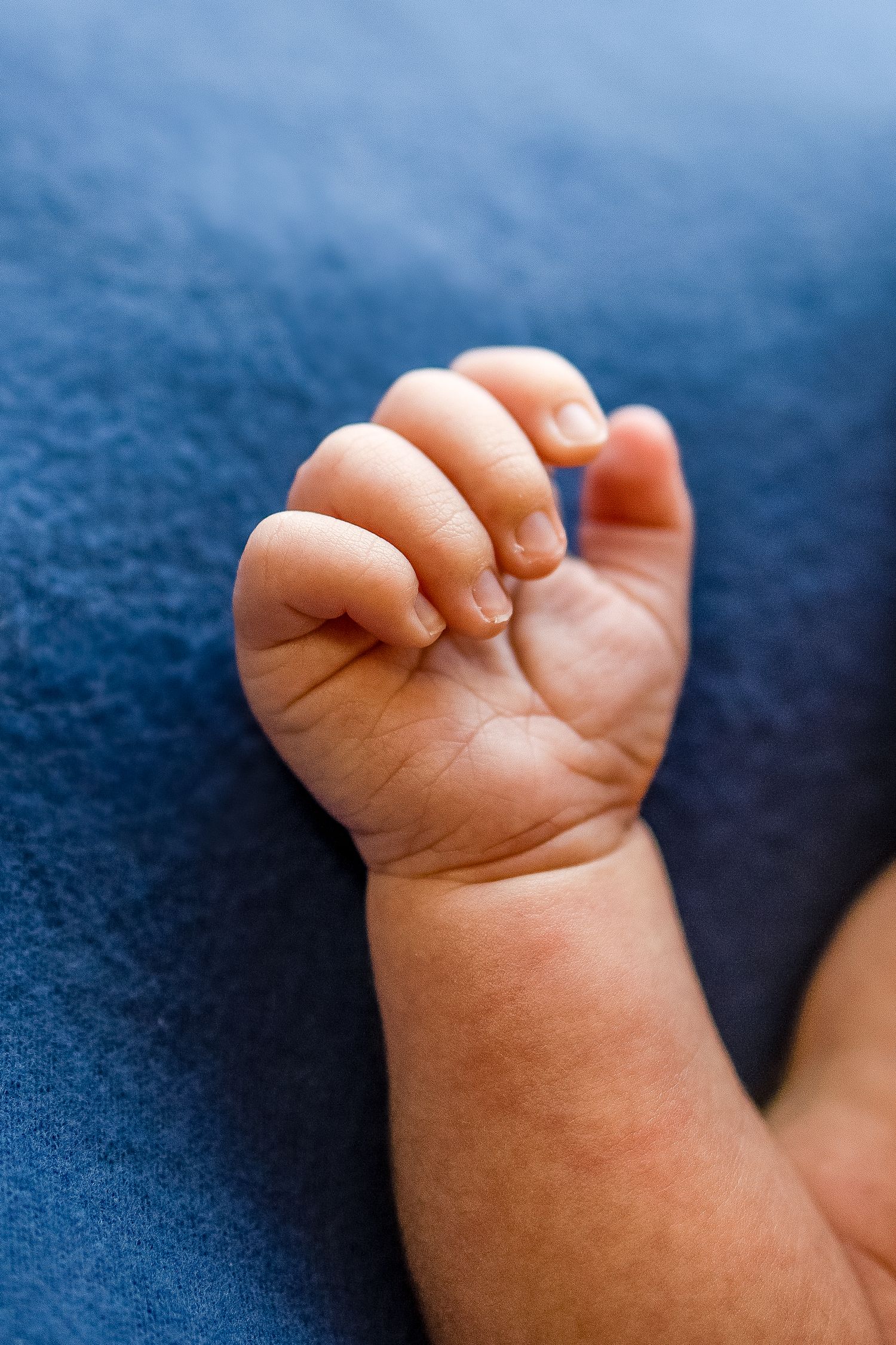 Close-up of a newborn baby tiny hand with delicate fingers resting on a soft blue blanket.